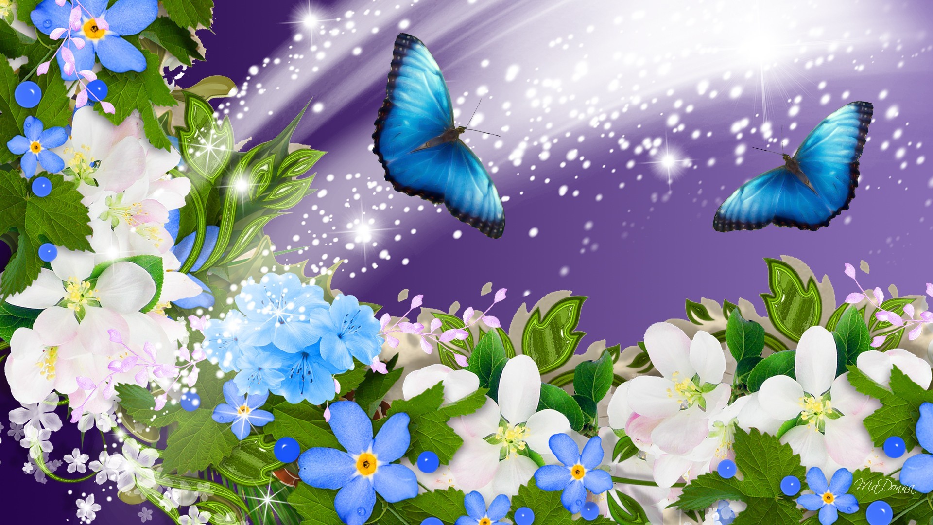 Fiori, Farfalle blu, Arte digitale, Viola, Full HD 1080p, sfondo desktop