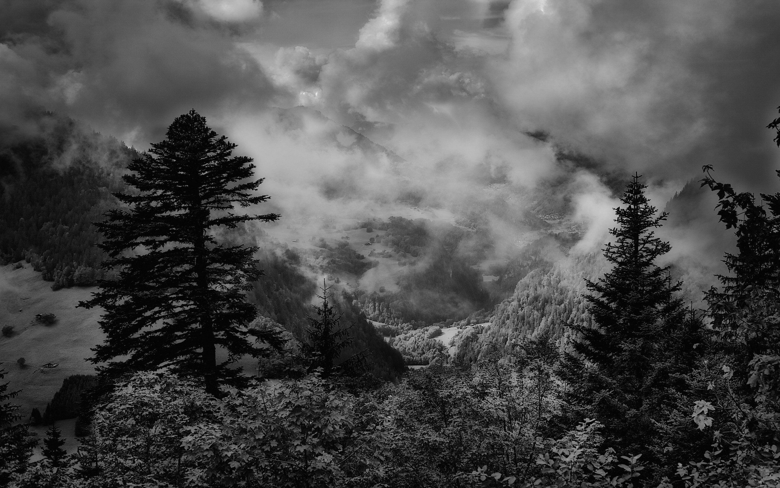 Montagne, Abeti, Nuvole, Bianco e nero, Full HD, sfondo per PC e portatile