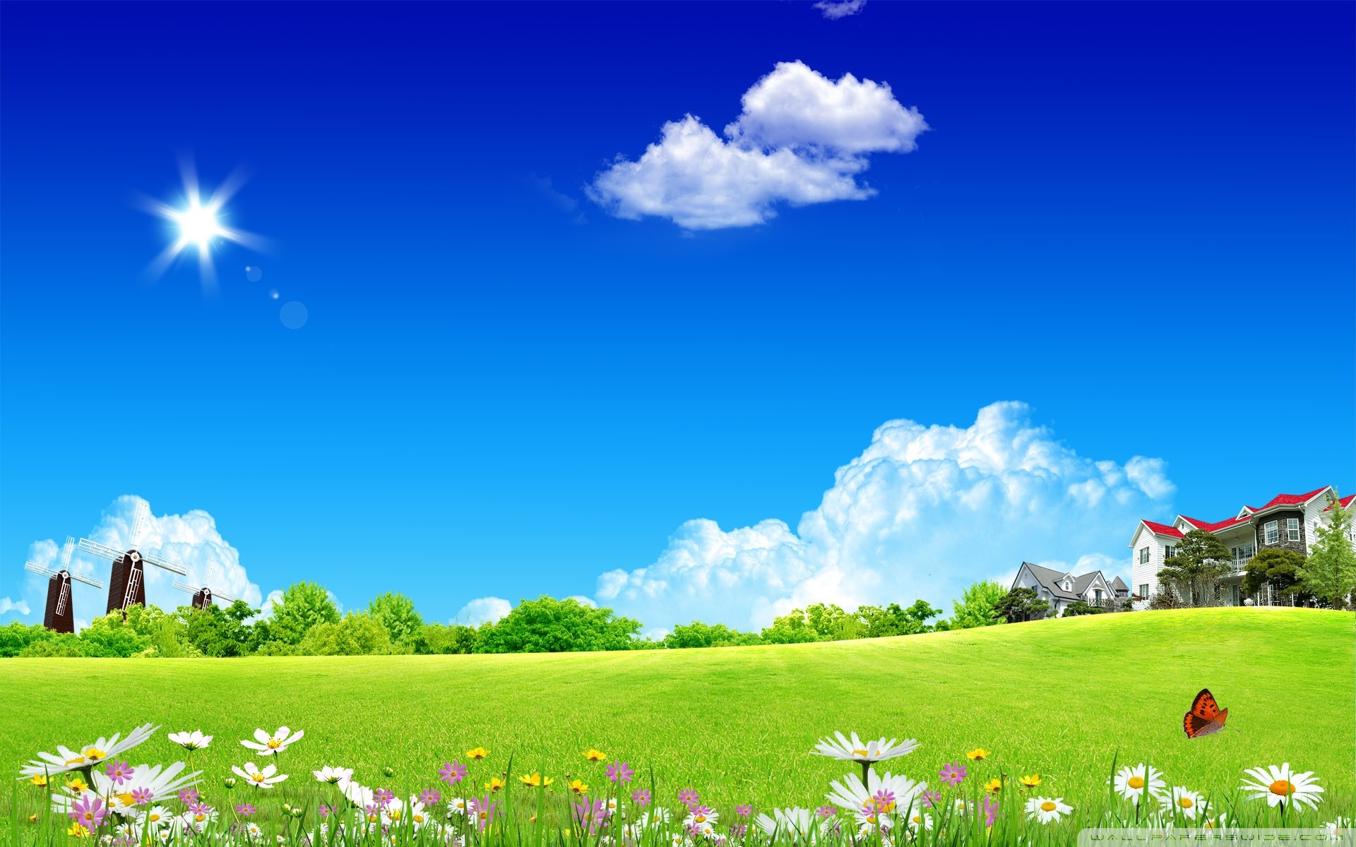 Prato, Cielo azzurro, Nuvole, Margherite, Illustrazione, 16:10 Full HD, sfondo widescreen