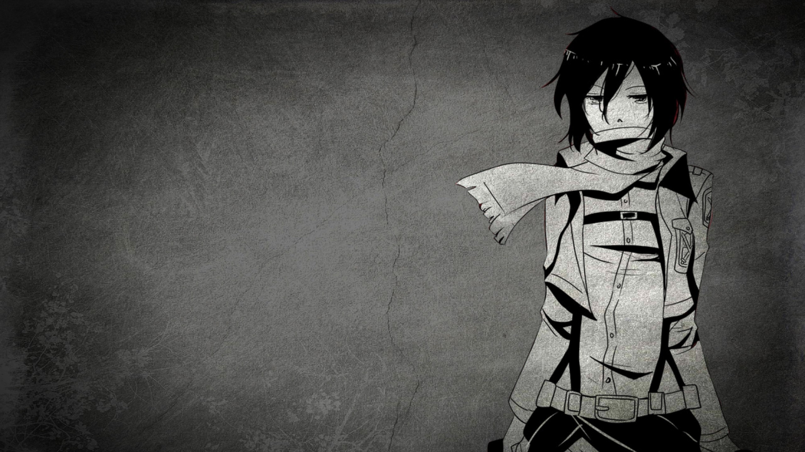 Mikasa Ackerman, L'attacco dei giganti, Sciarpa, Bianco e nero, 2K, sfondo desktop