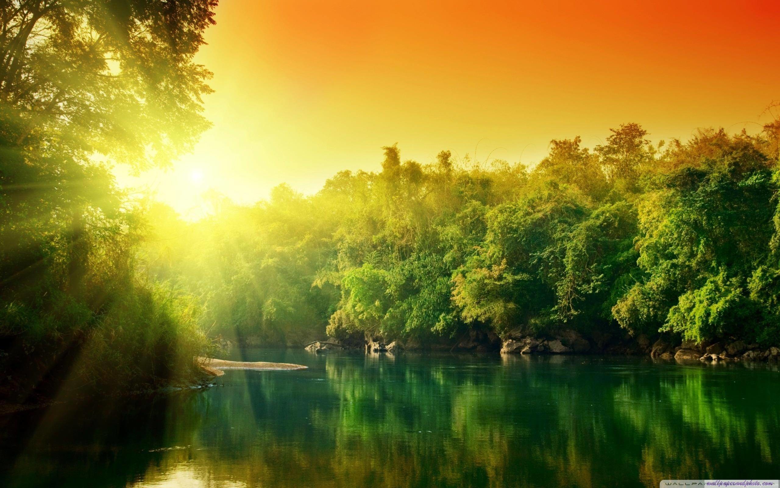 Fiume, Foresta, Raggi di sole, Tramonto, Verde, 16:10 2K, sfondo widescreen