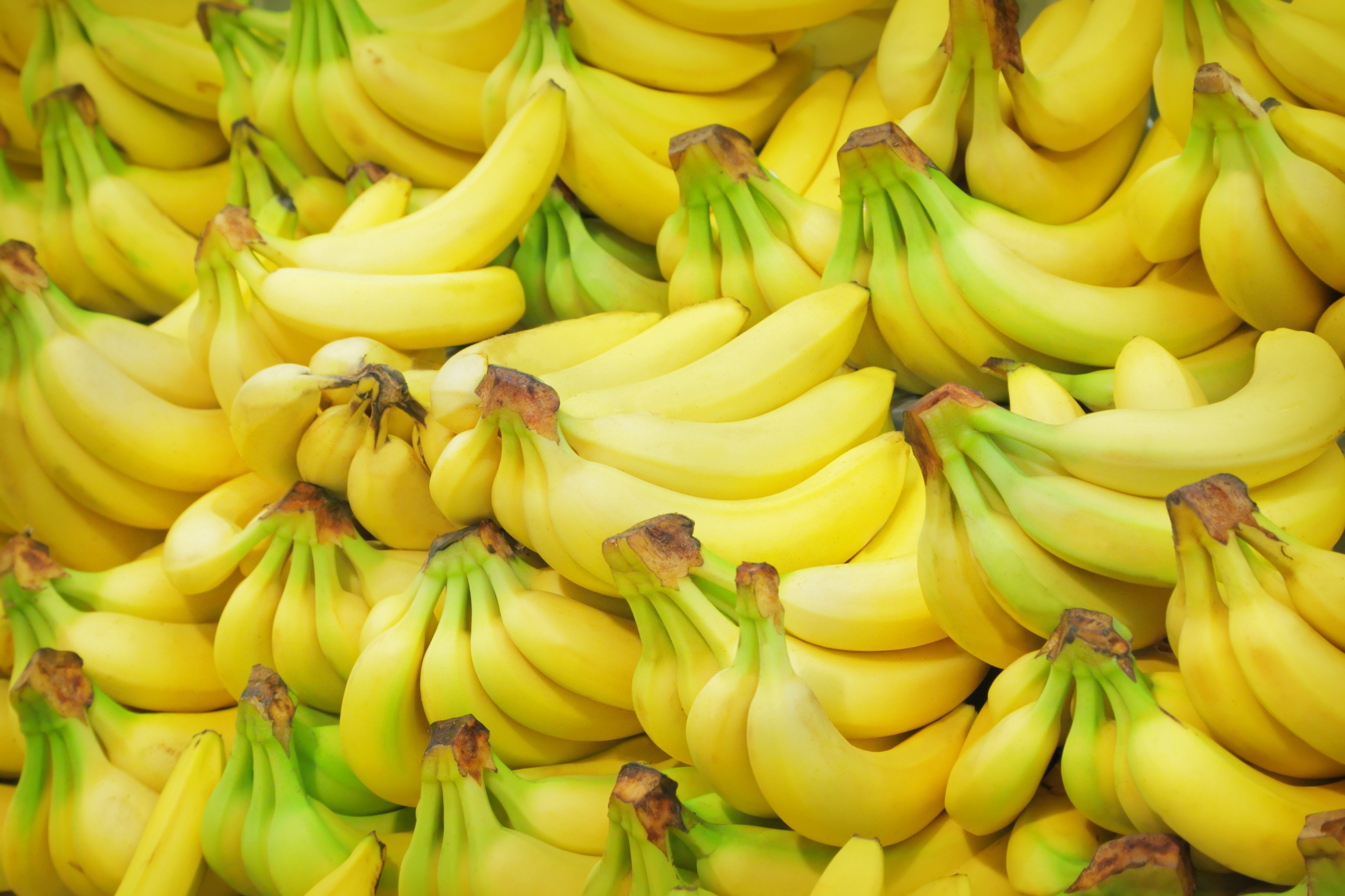 Banane, Frutta, Giallo, 2K, sfondo per portatile