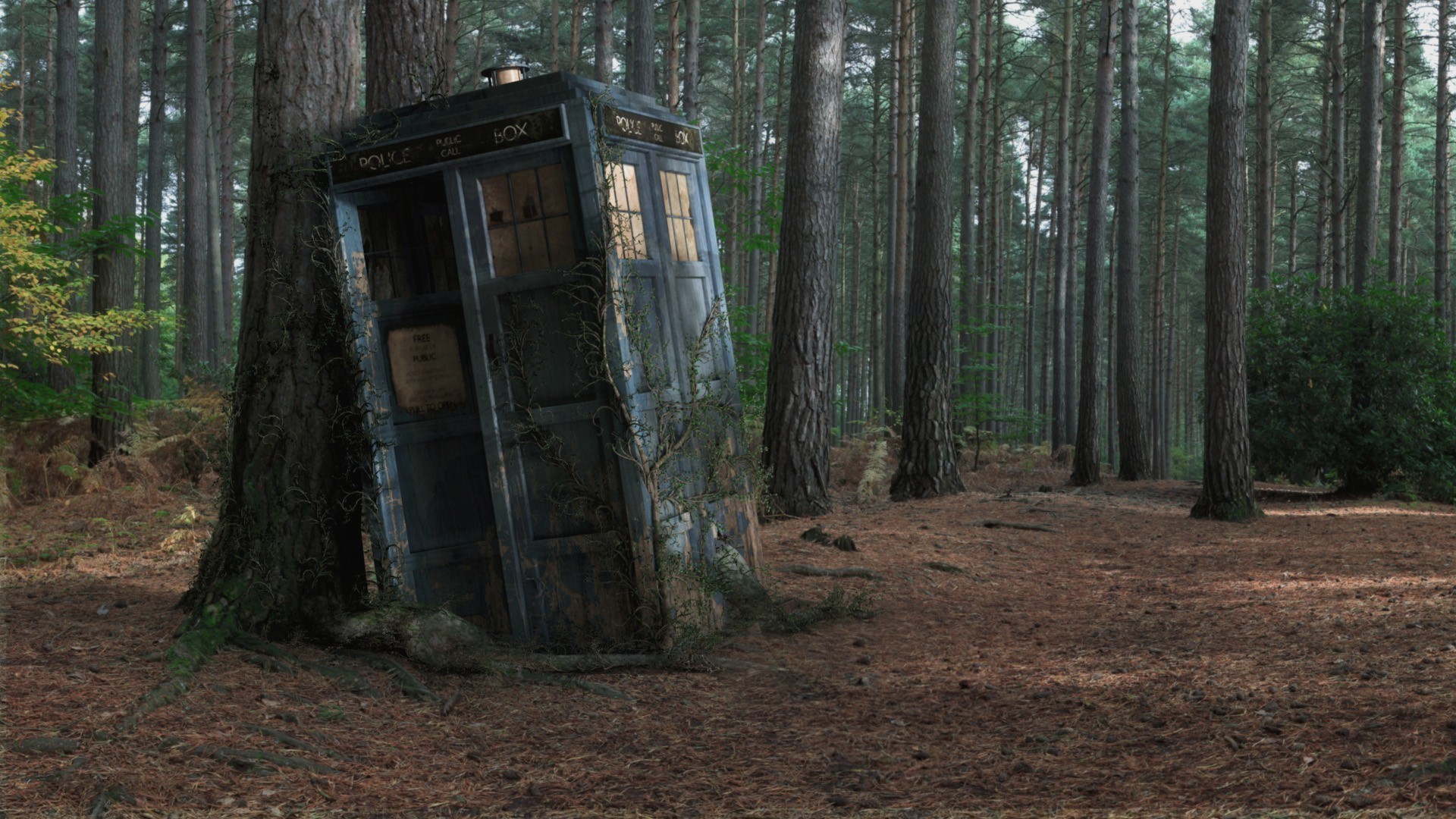 TARDIS, Doctor Who, Foresta, Pini, Full HD, sfondo per PC
