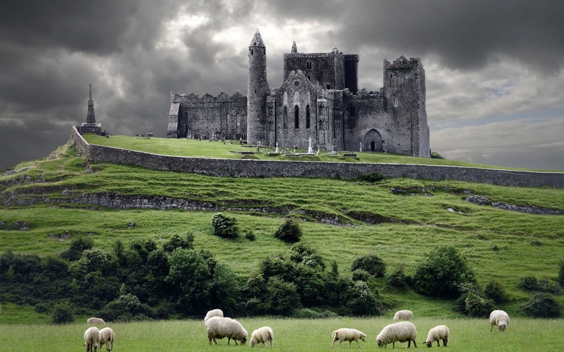 Rocca di Cashel, Rock of Cashel, Irlanda, Pecore, Cielo tempestoso, sfondo Full HD per computer
