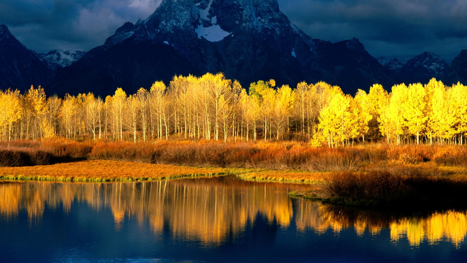 Grand Teton, Pioppi tremuli, Lago, Montagne, Foliage giallo, sfondo Full HD per desktop