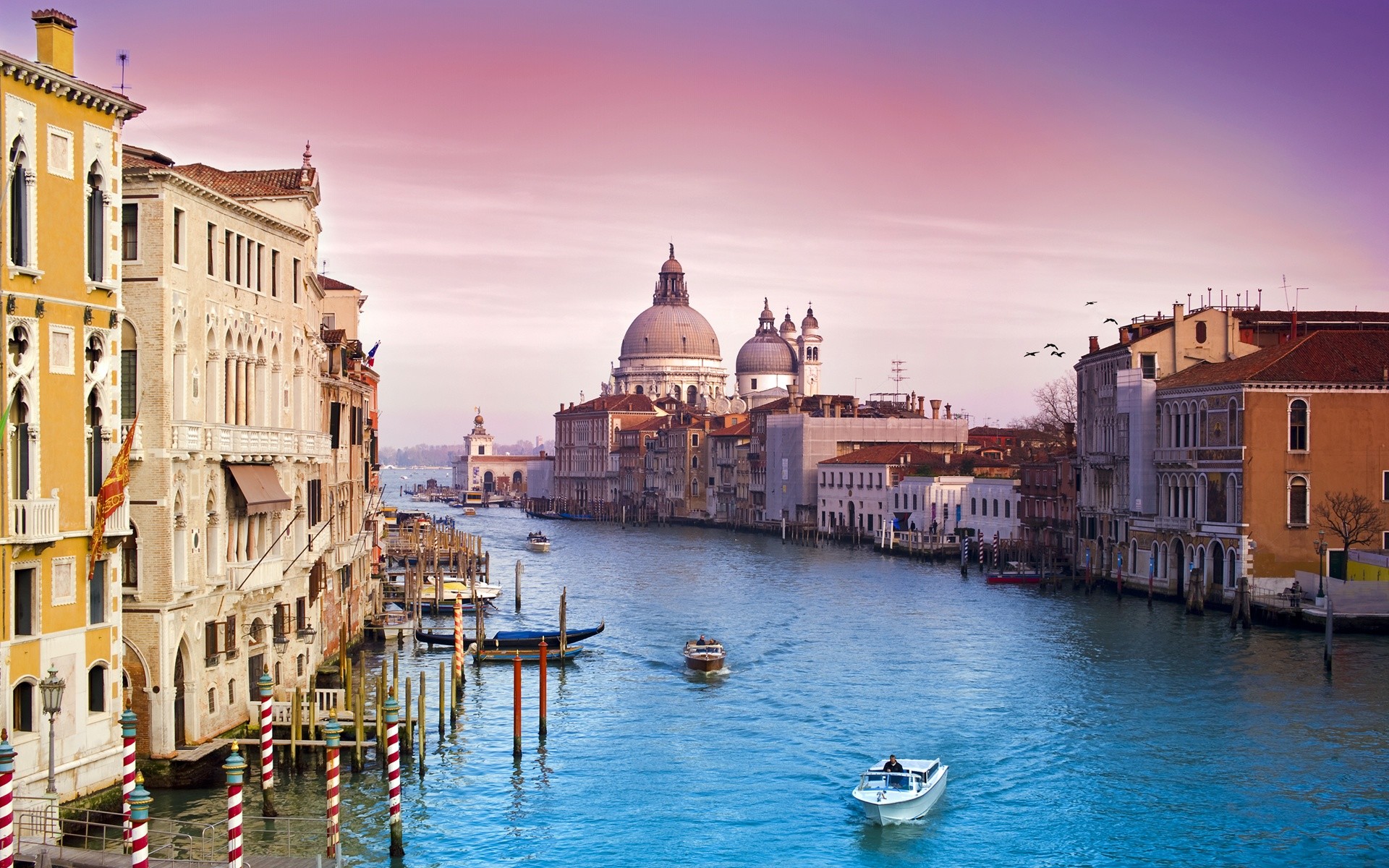 Santa Maria della Salute, Canal Grande, Venezia, Cielo rosa, 1920x1200, immagine di sfondo