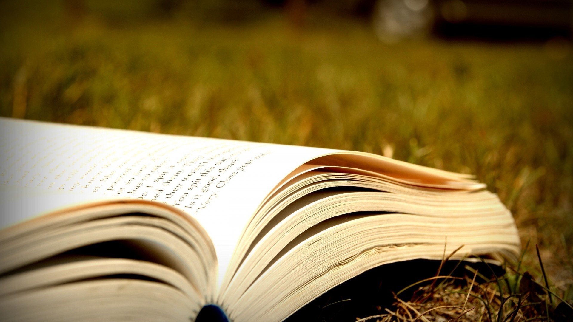 Libro aperto, Erba, Pagine, Full HD 1080p, sfondo desktop