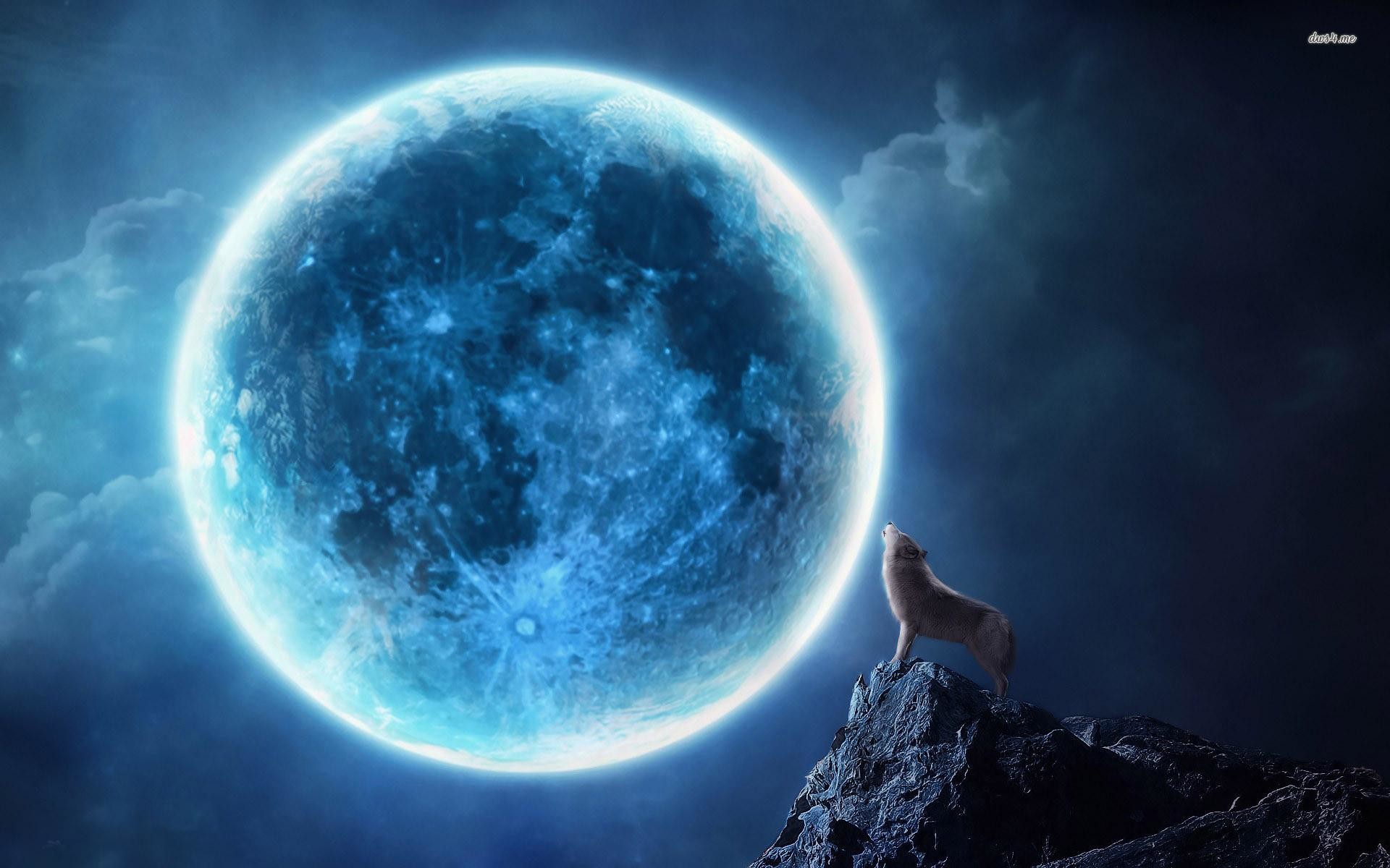 Luna blu, Lupo che ulula, Roccia, Fantasy, 1920x1200, sfondo MacBook Pro