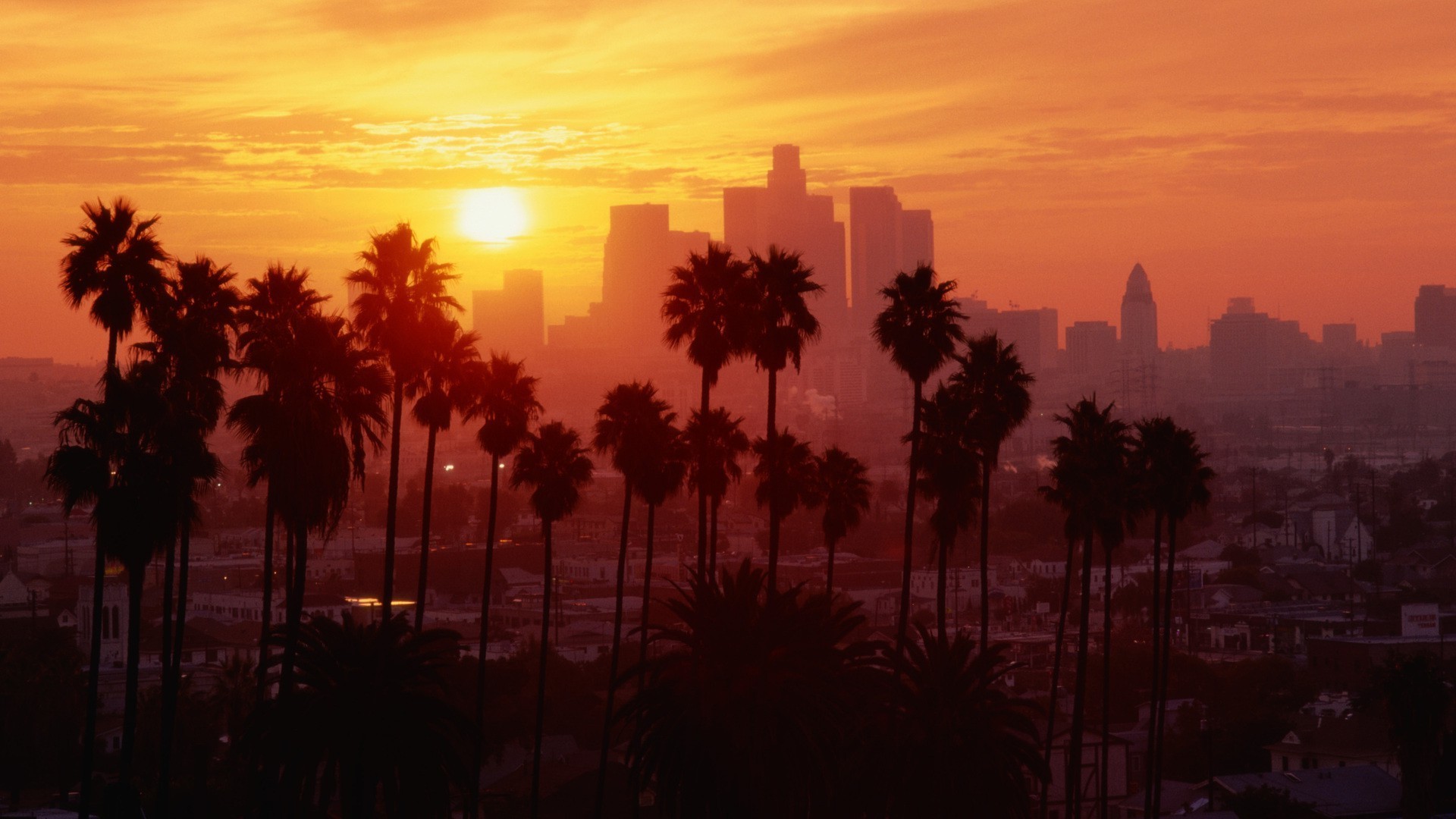 Los Angeles, Palme, Tramonto, Skyline, Arancione, Full HD, wallpaper per portatile