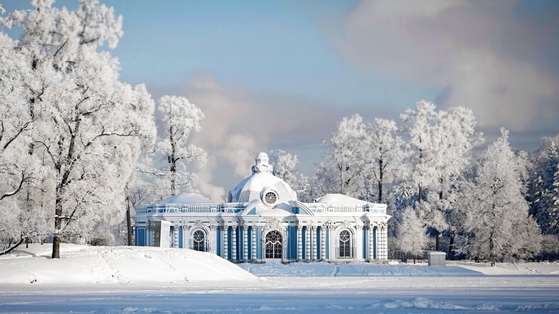 Grotta di Carskoe Selo, Carskoe Selo, Alberi innevati, Neve, 16:9 Full HD, sfondo widescreen