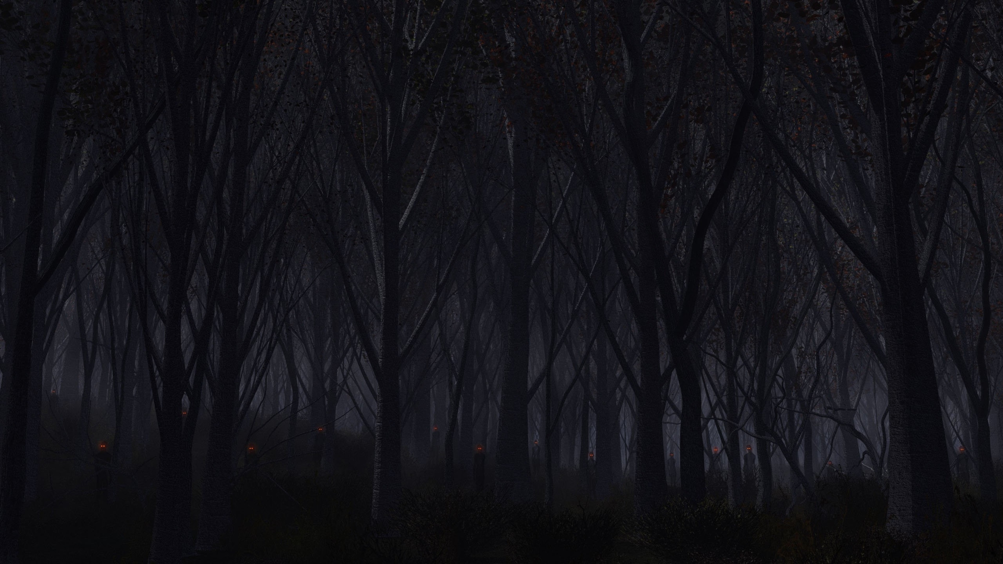 Foresta di notte, Alberi spogli, Buio, 4K, sfondo per PC e portatile