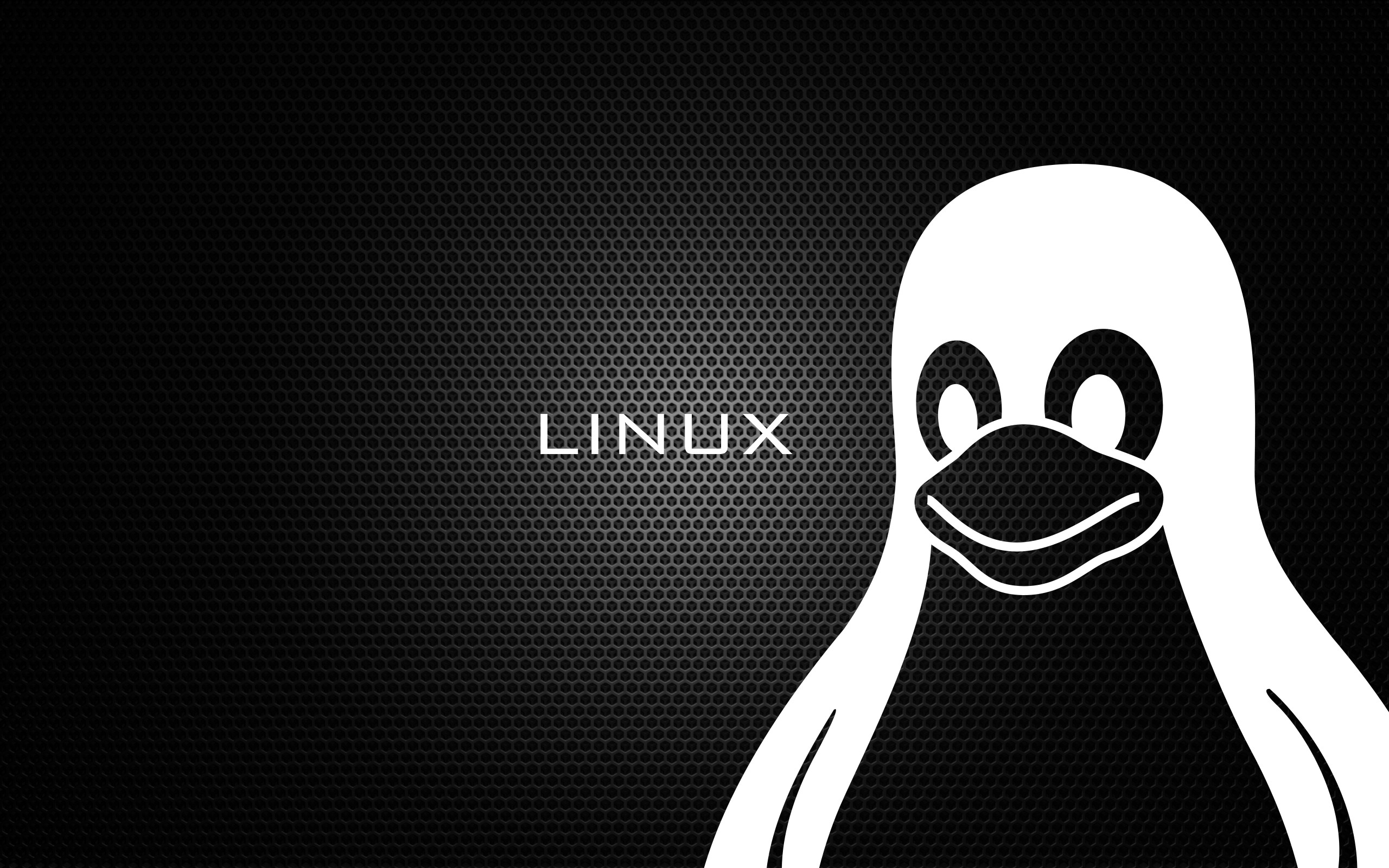 Tux, Linux, Bianco e nero, Texture, 2560x1600, sfondo per PC
