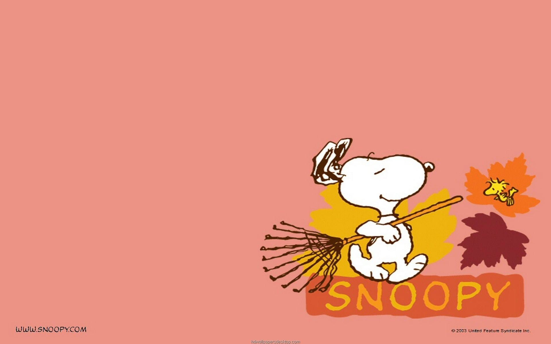Snoopy, Woodstock, Foglie d'autunno, 1920x1200, sfondo MacBook Pro