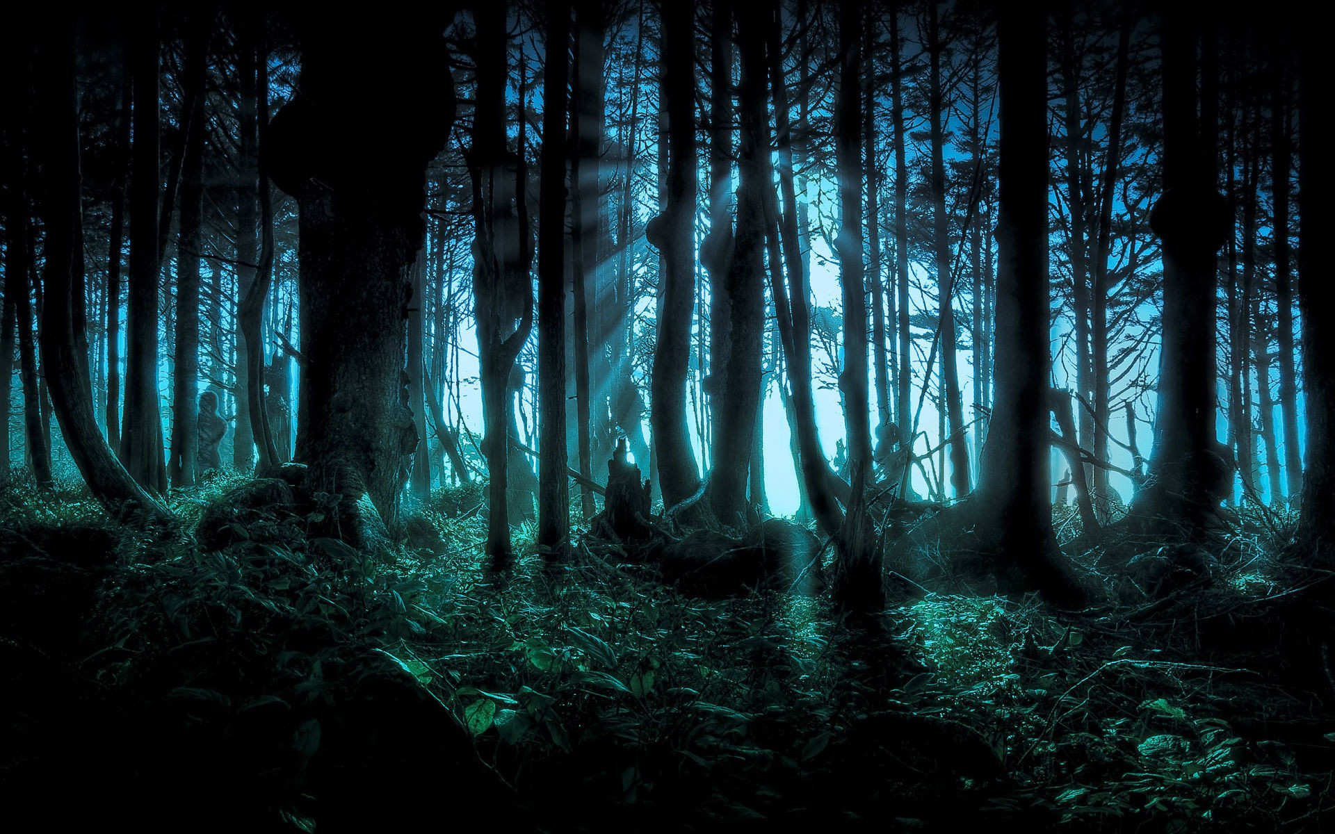Foresta oscura, Alberi, Luce blu, Notte, Fantasy, Nebbia, 16:10 Full HD, sfondo widescreen