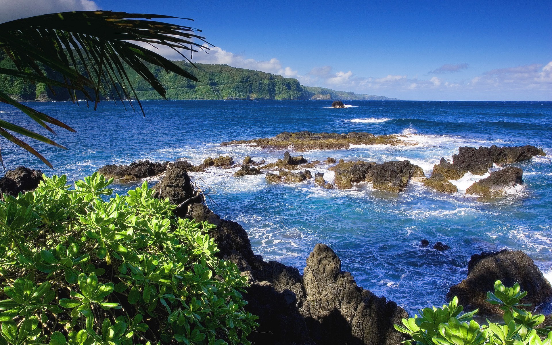 Mare, Costa rocciosa, Vegetazione tropicale, Onde, 1920x1200, sfondo MacBook Pro