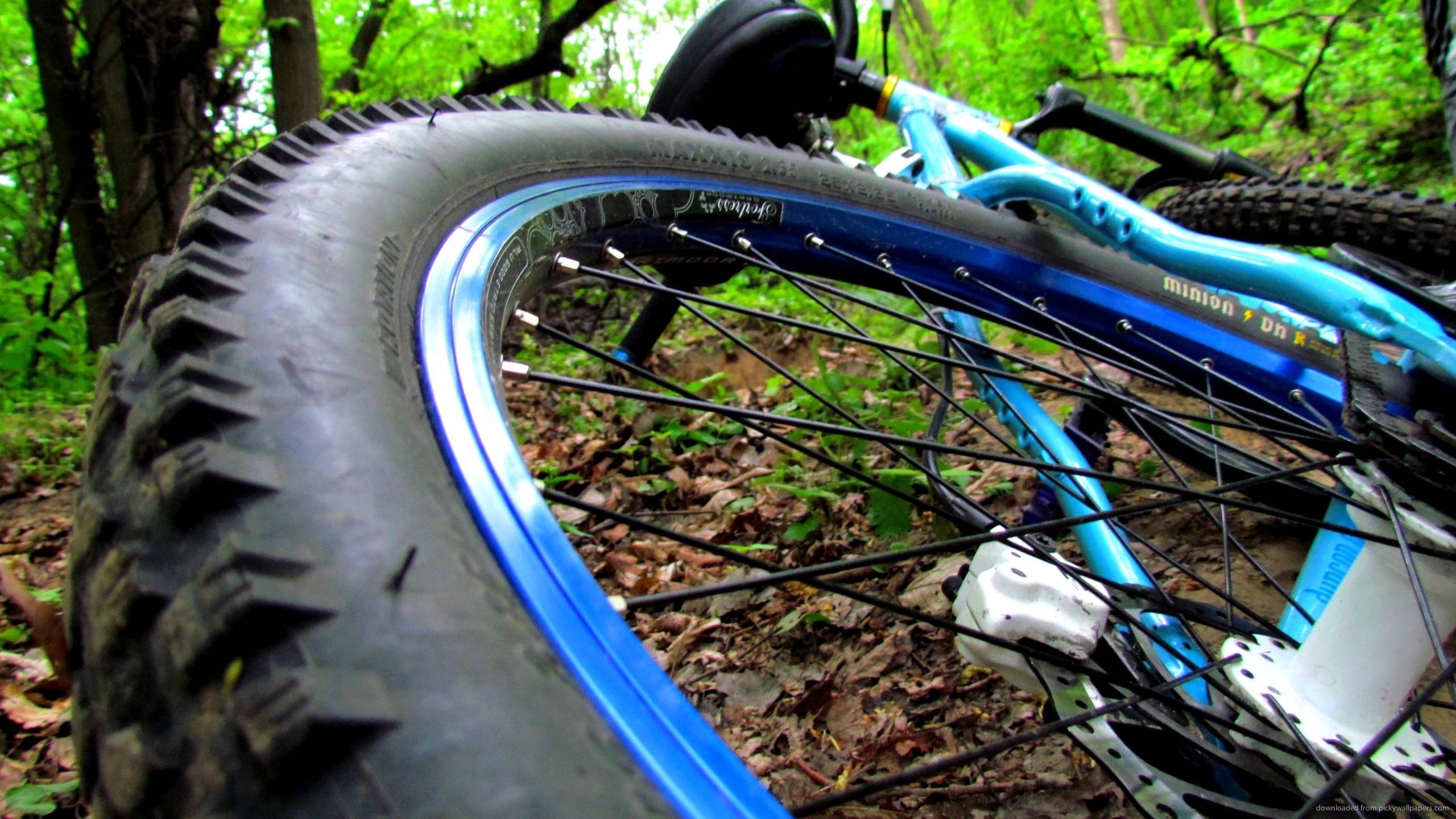 Mountain bike, Ruota, Pneumatico, Primo piano, Bosco, 2K, sfondo per PC