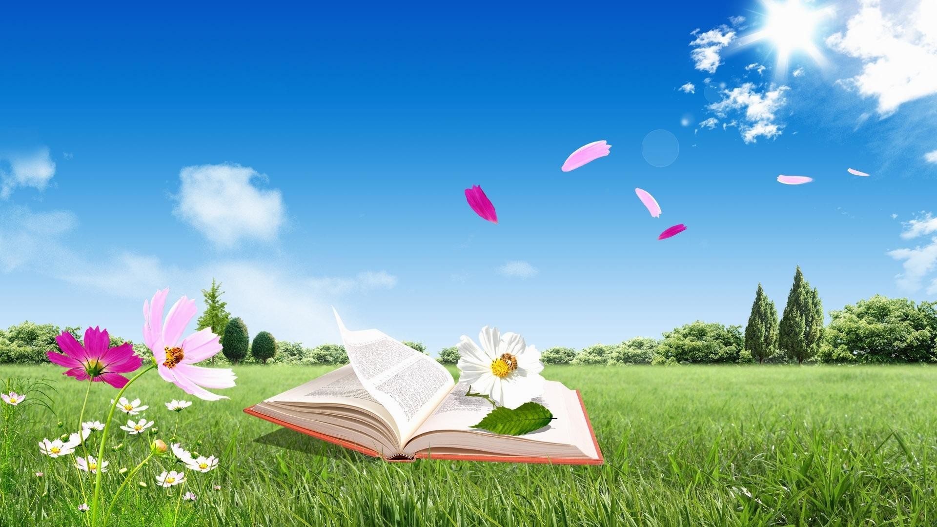 Libro aperto, Prato, Fiori, Cielo azzurro, Full HD, wallpaper desktop