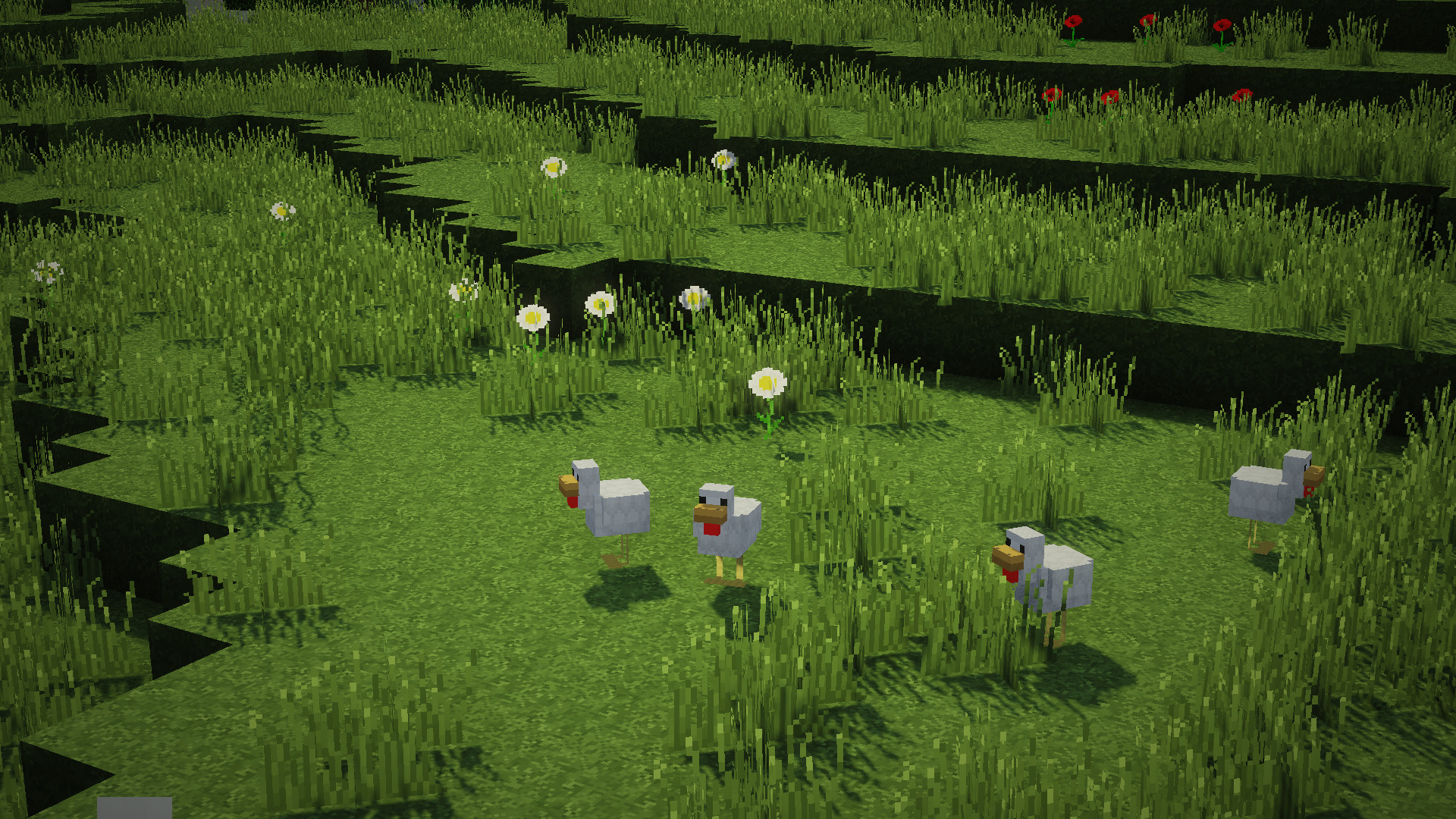 Galline, Minecraft, Prato, Fiori, Full HD 1080p, sfondo desktop