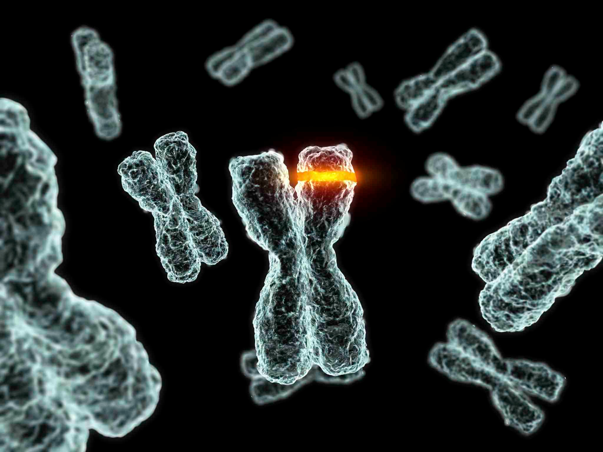 Cromosomi, Genetica, Rendering 3D, Sfondo nero, Full HD, wallpaper per tablet