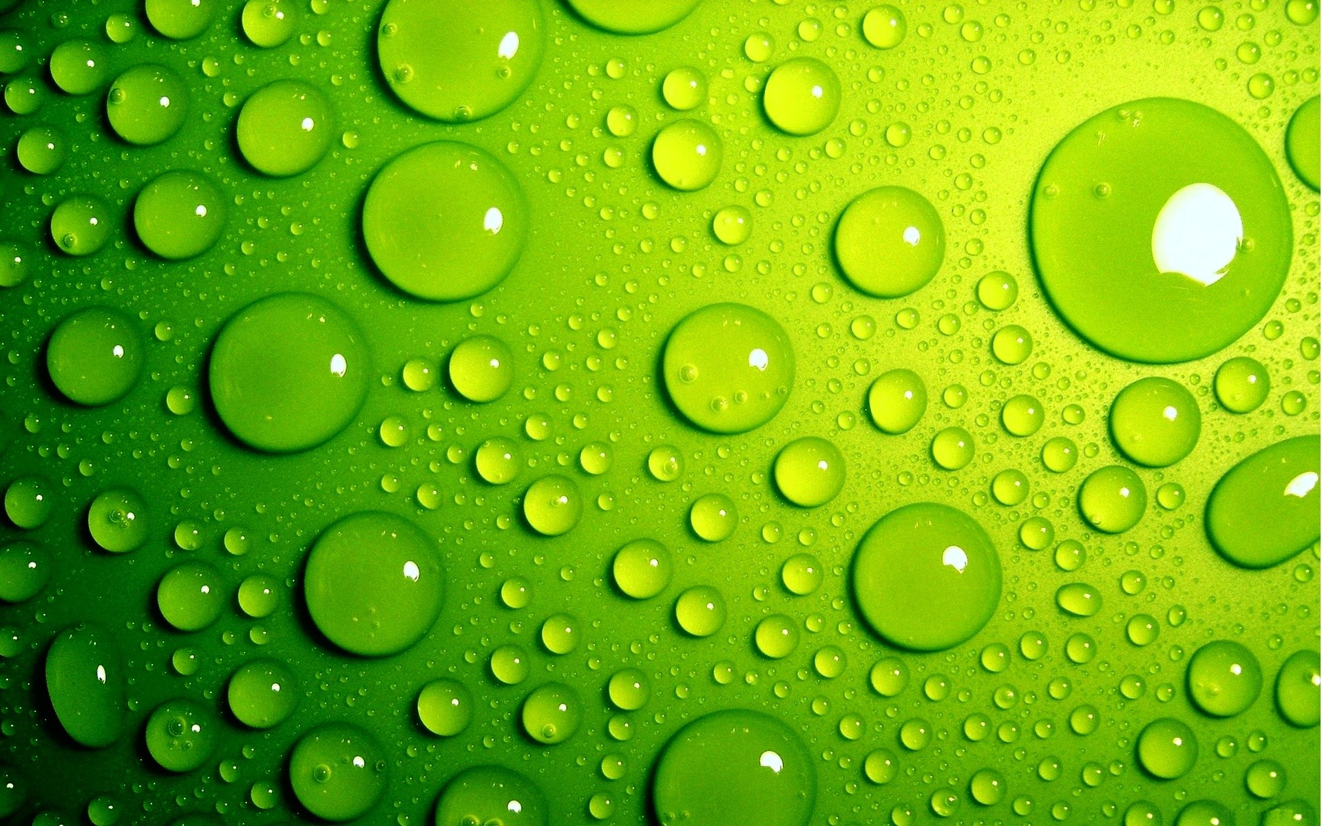 Gocce d'acqua, Verde, Macro, 1920x1200, immagine di sfondo