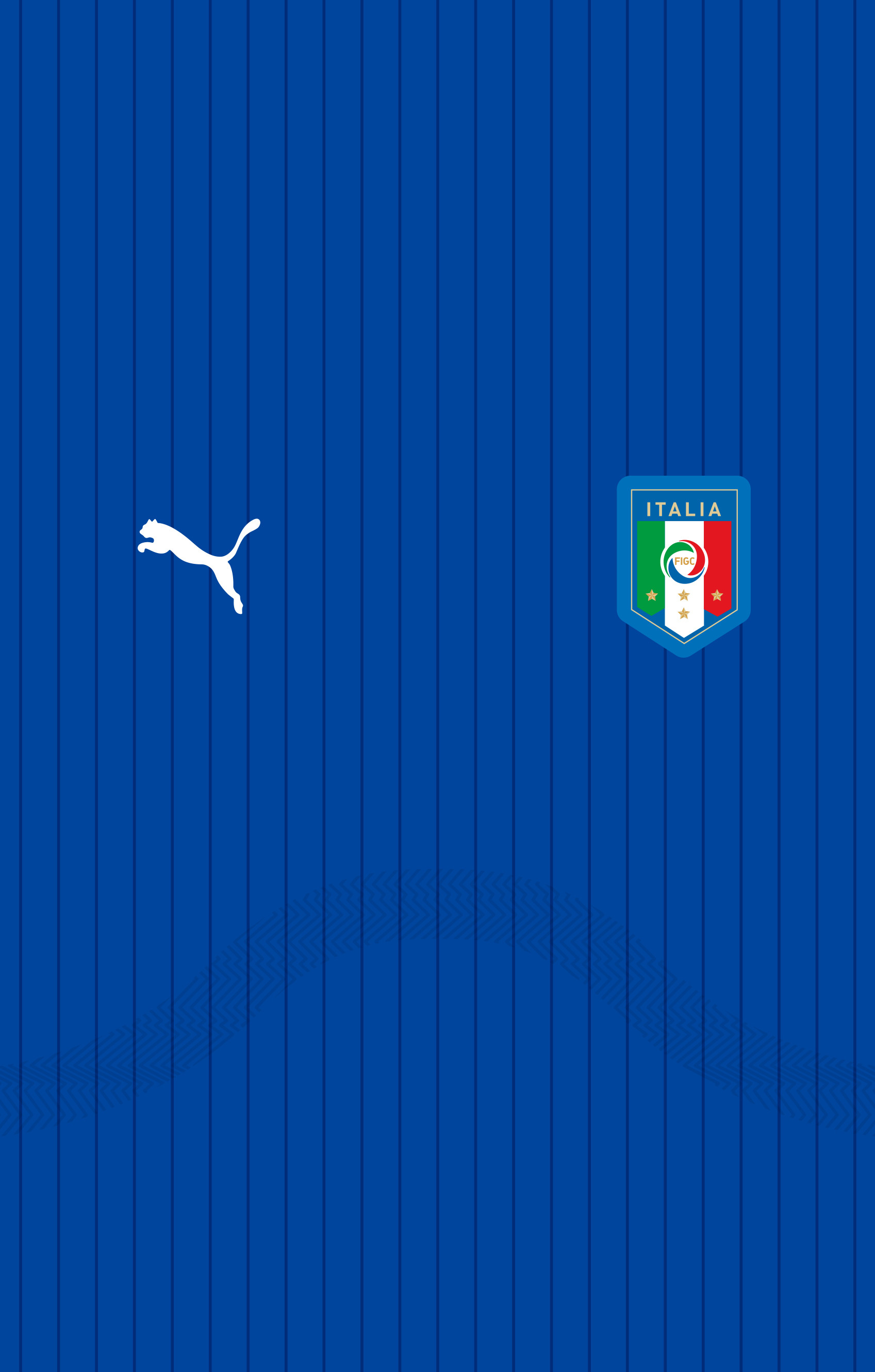Nazionale italiana di calcio, FIGC, Puma, Maglia azzurra, sfondo QHD+ per cellulare