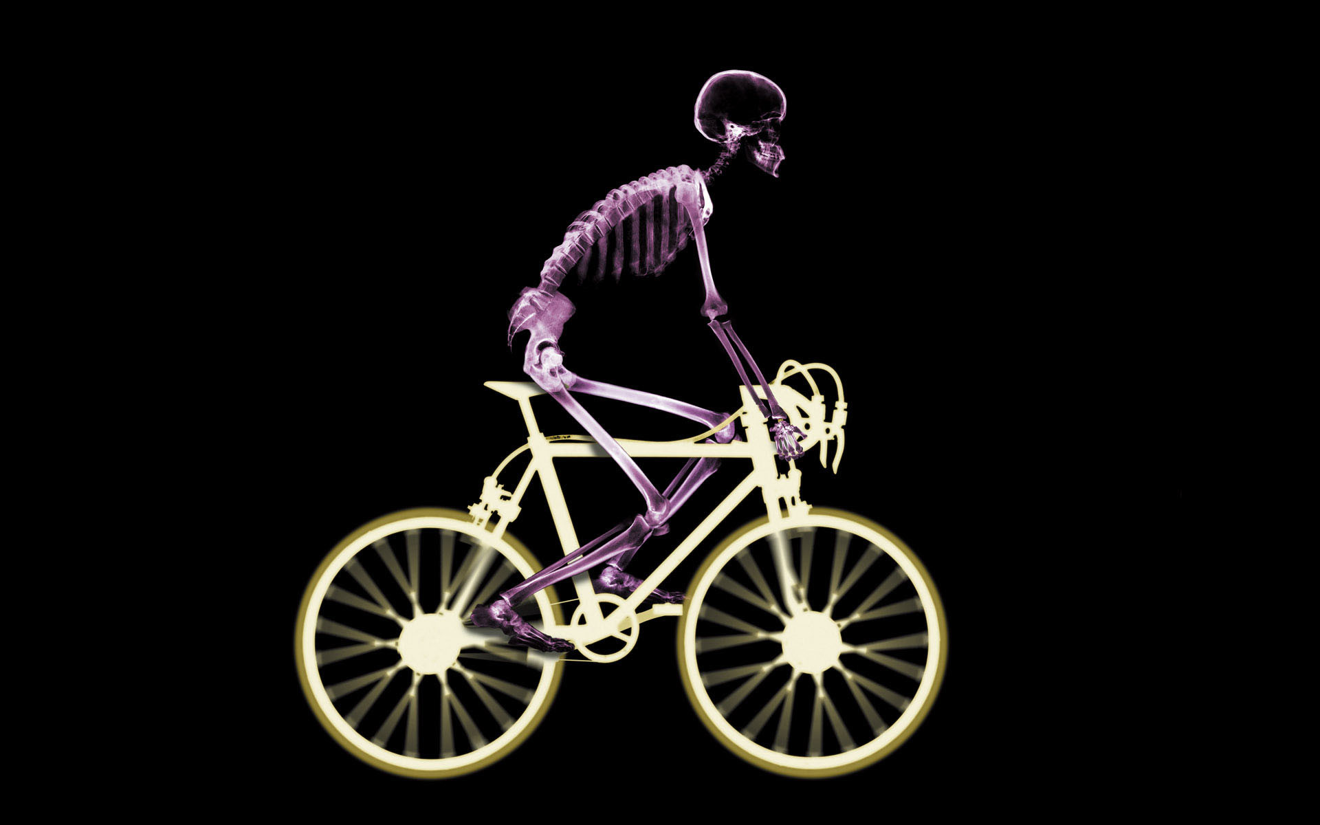Scheletro, Bicicletta, Ciclismo, Sfondo nero, Full HD, wallpaper per PC