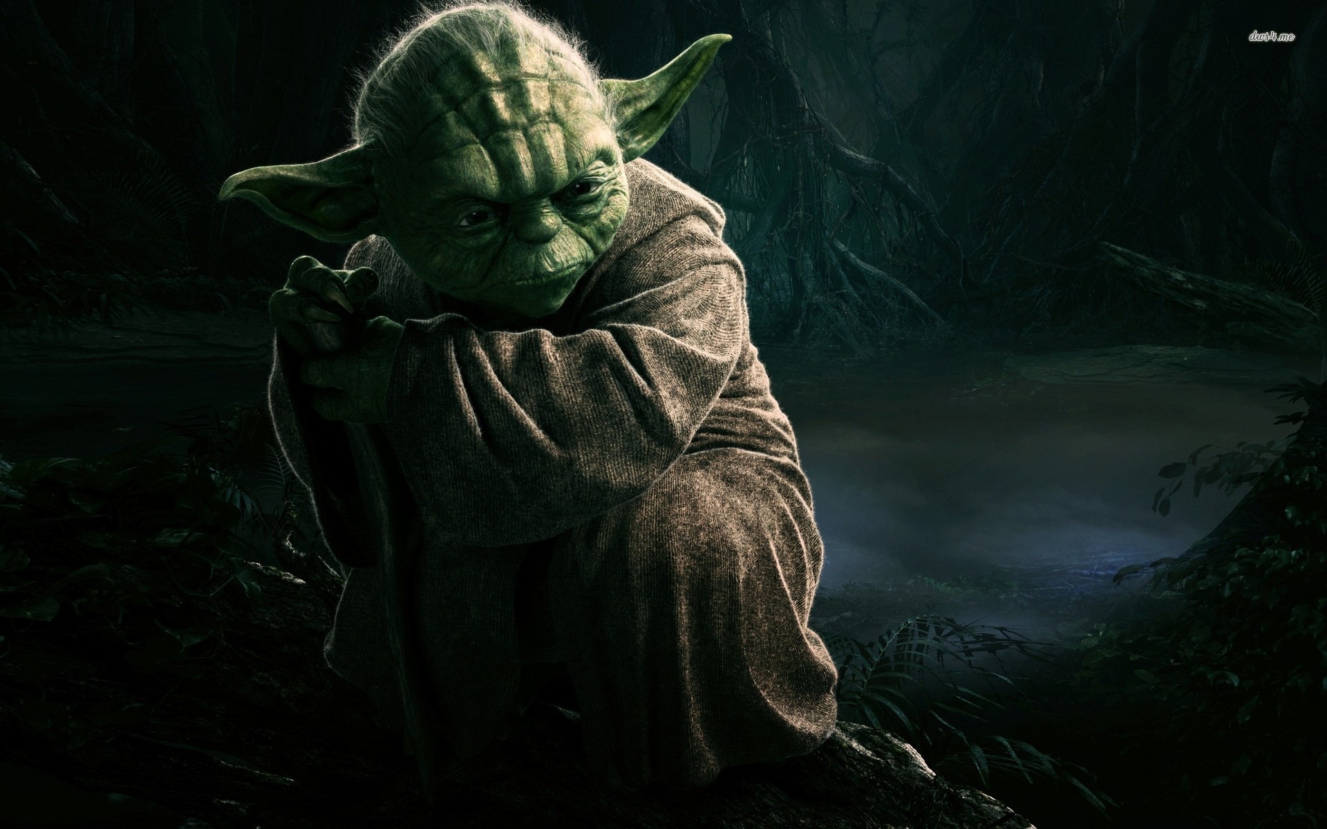 Yoda, Star Wars, Dagobah, Palude, Full HD, sfondo per PC e portatile