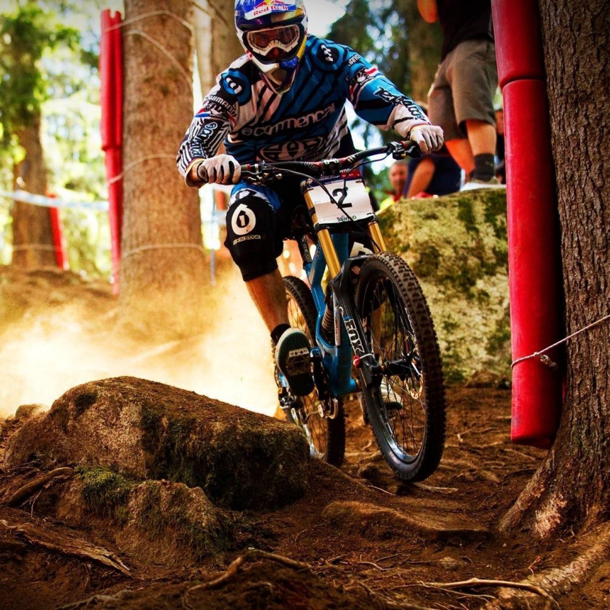 Mountain bike, Gara di discesa, Bosco, Polvere, Full HD, schermata di blocco iPad
