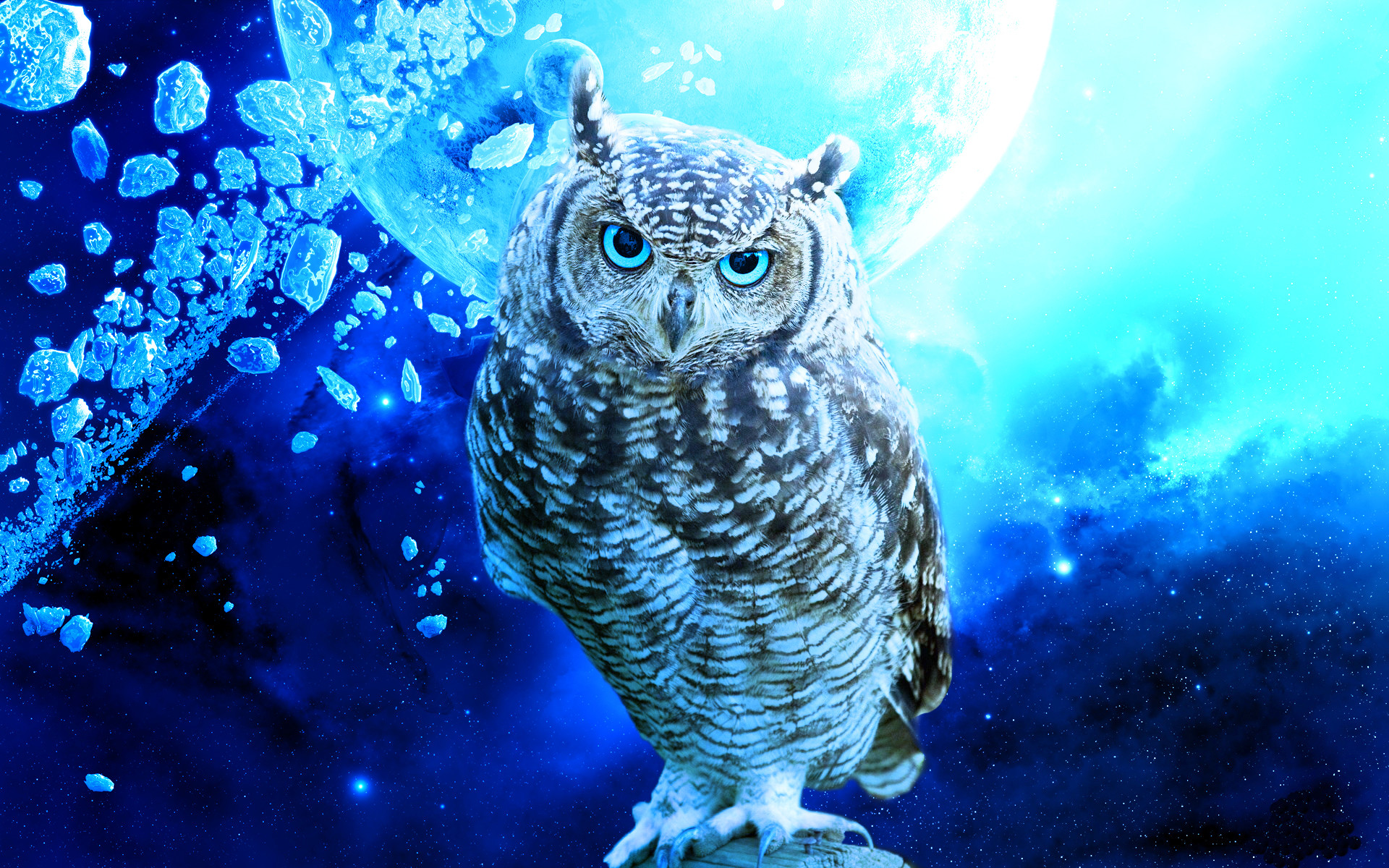 Gufo, Arte digitale, Blu, Luna, 1920x1200, immagine di sfondo