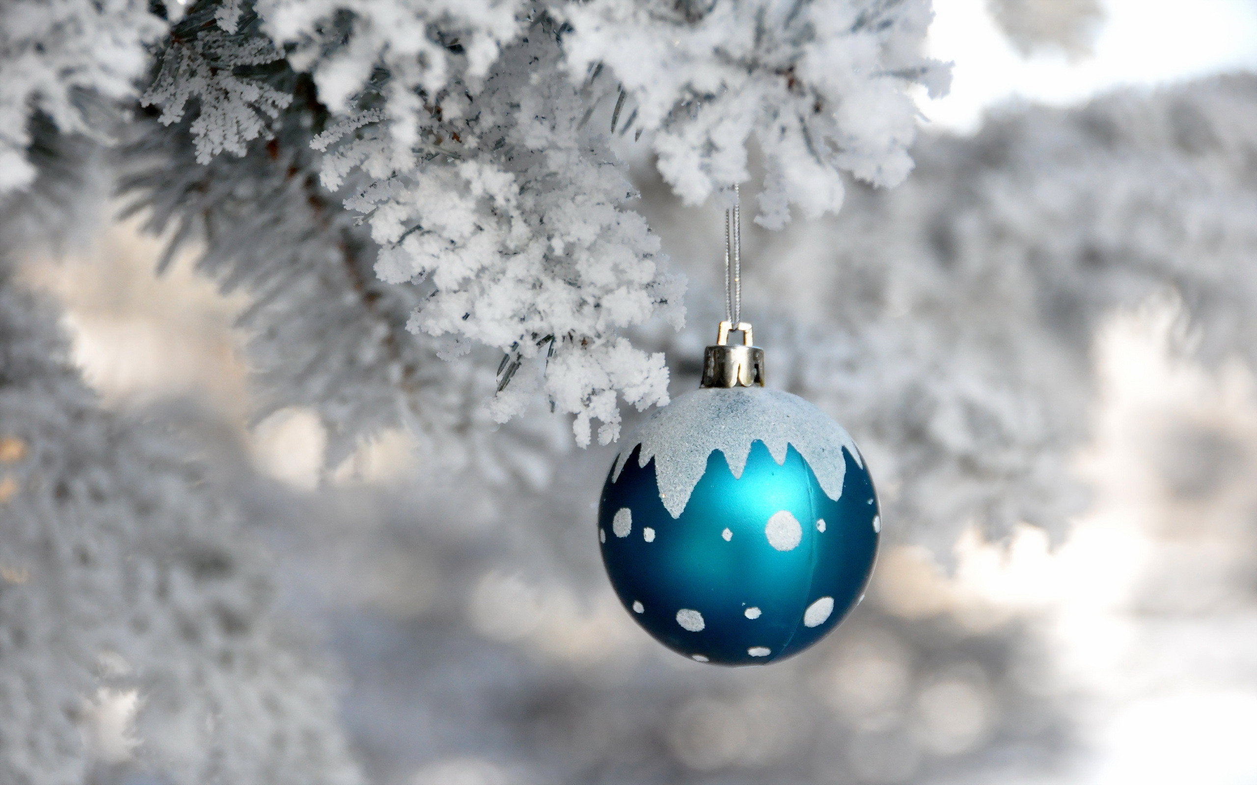 Pallina di Natale, Rami innevati, Blu, 2K, wallpaper per computer