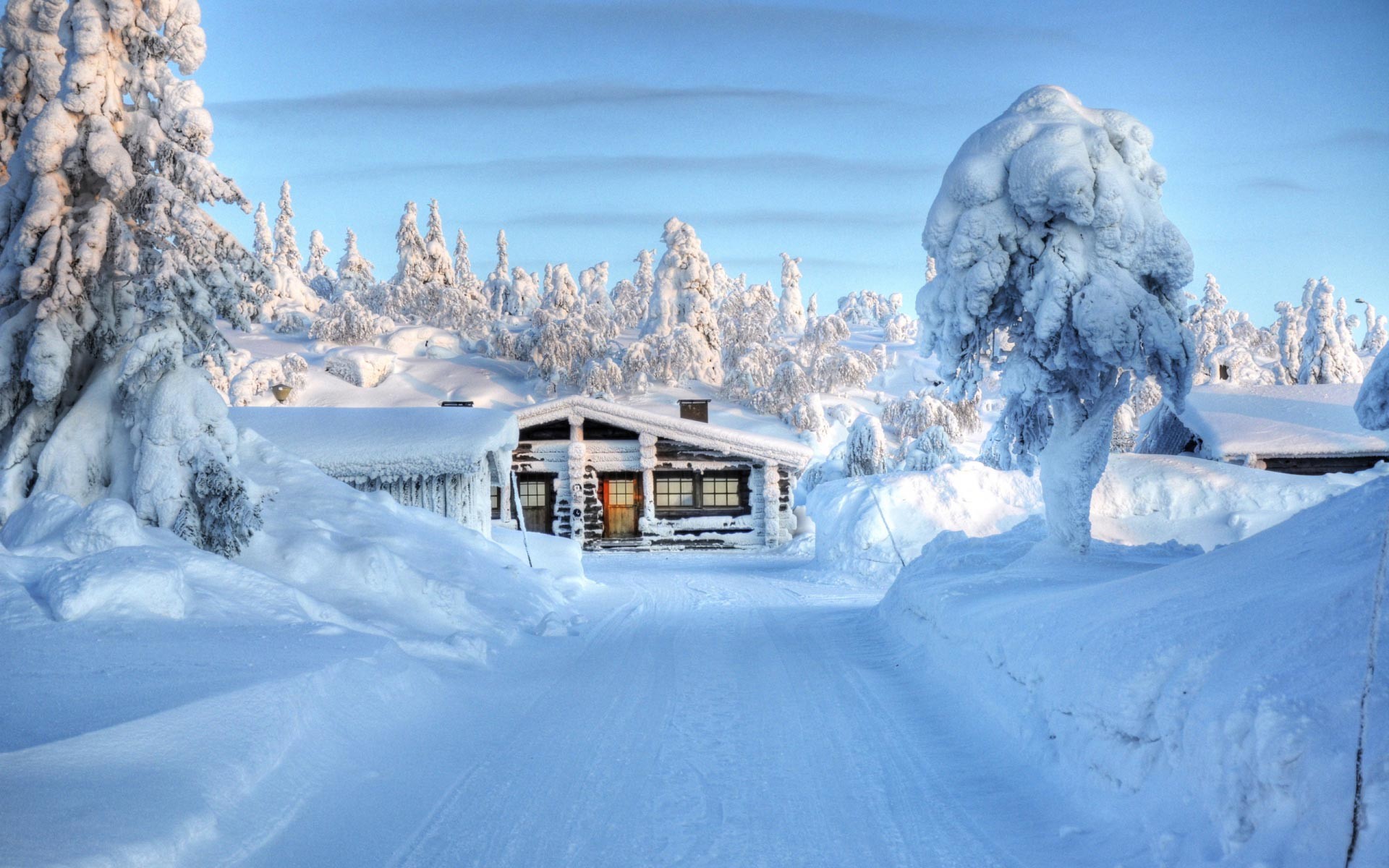 Baita, Alberi innevati, Neve alta, Cielo blu, Full HD, sfondo per PC