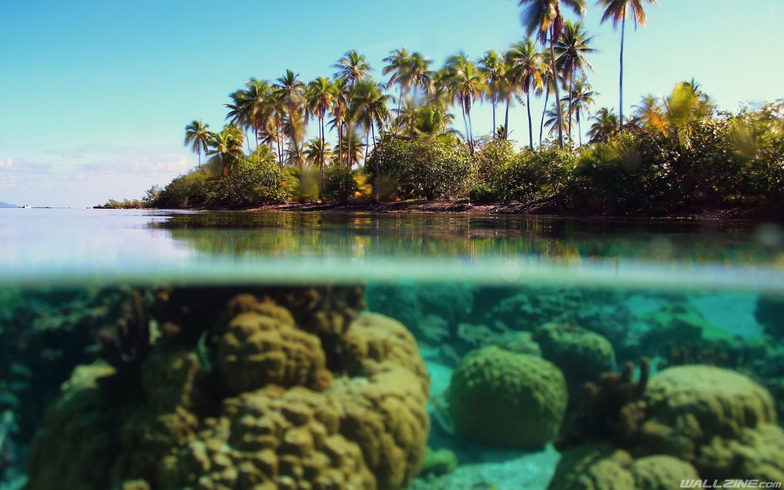 Isola tropicale, Palme, Vista sdoppiata, Coralli, 2K, wallpaper per computer