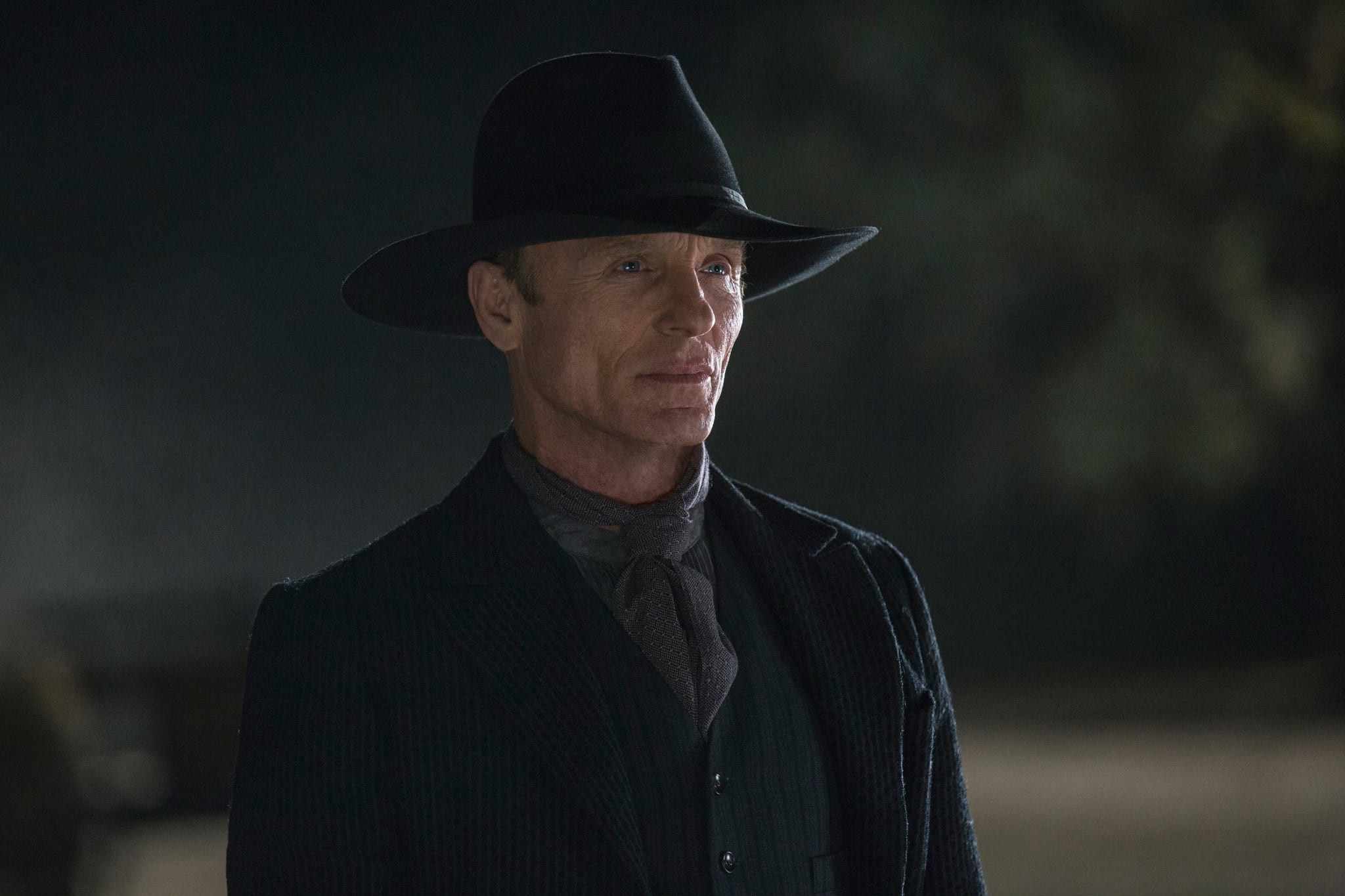 Uomo in nero, Ed Harris, Westworld, Cappello, Full HD, sfondo per PC