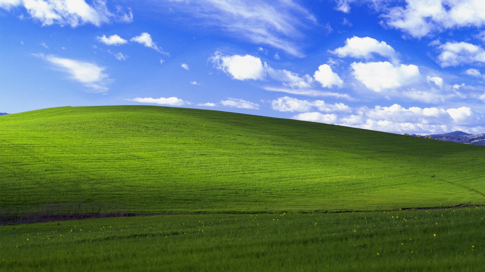 Bliss, Windows XP, Sonoma County, California, Collina, Cielo azzurro, sfondo desktop 1920x1080