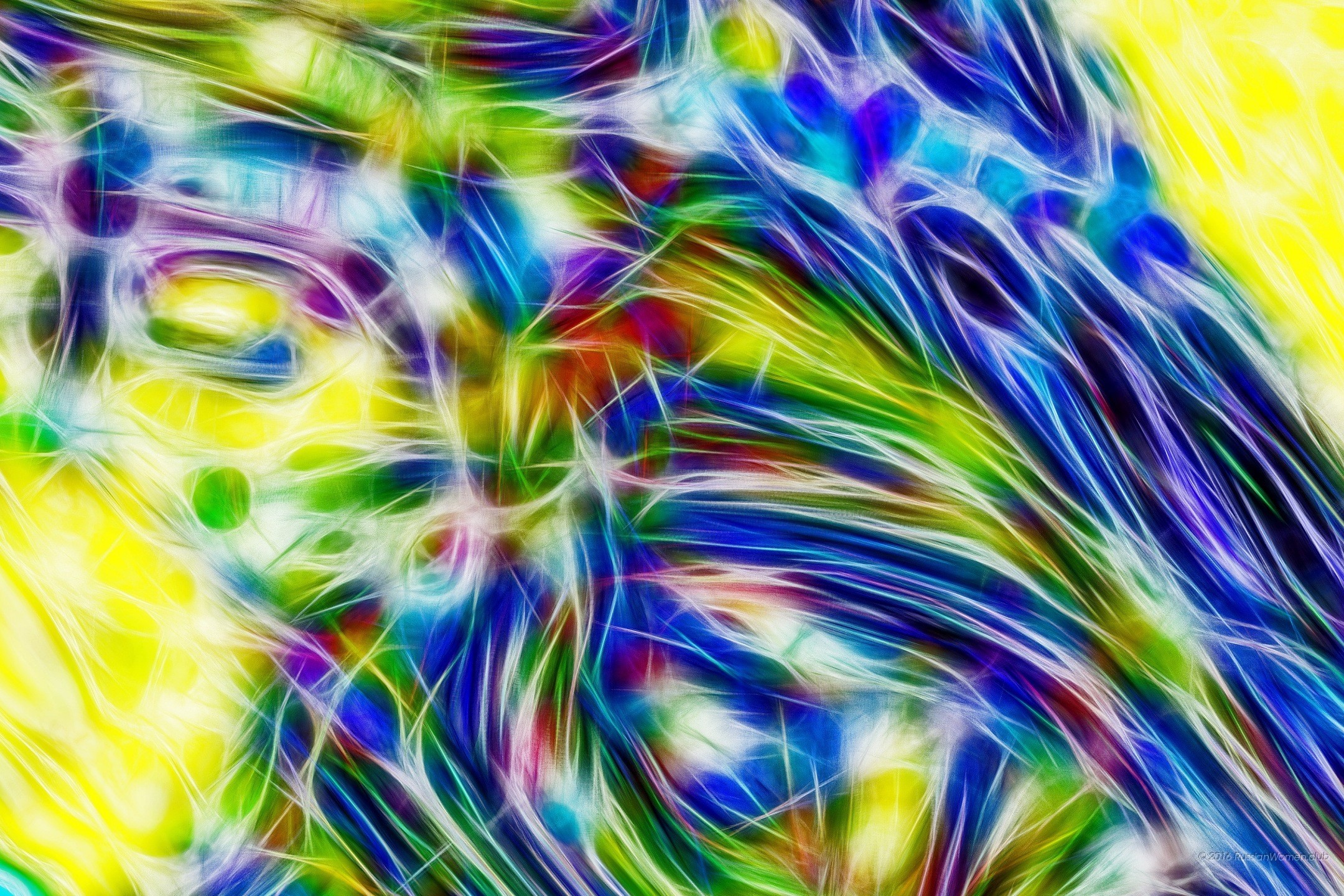 Arte frattale, Intreccio, Giallo, Blu, Full HD, sfondo desktop