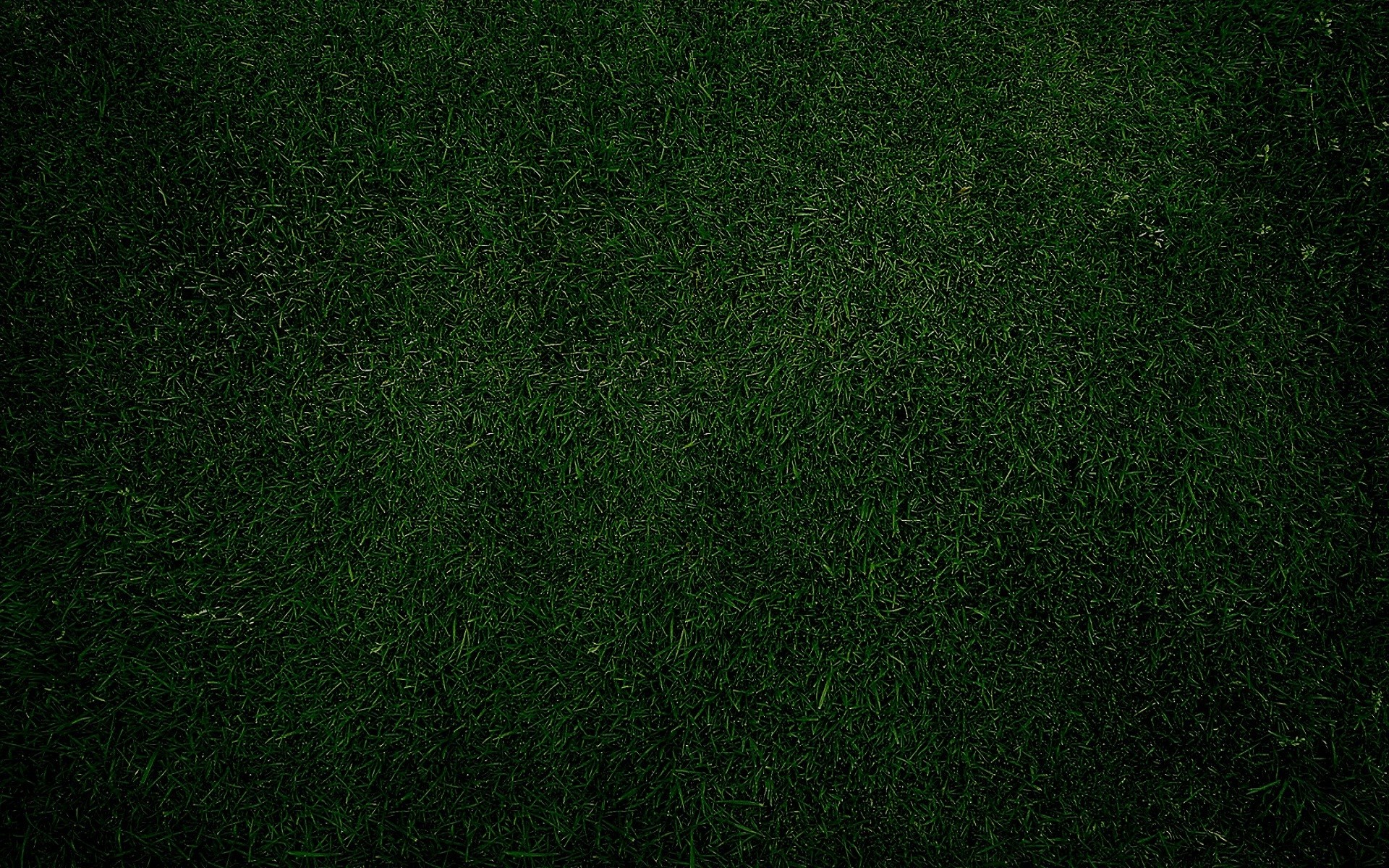 Texture erba, Verde scuro, 1920x1200, immagine di sfondo
