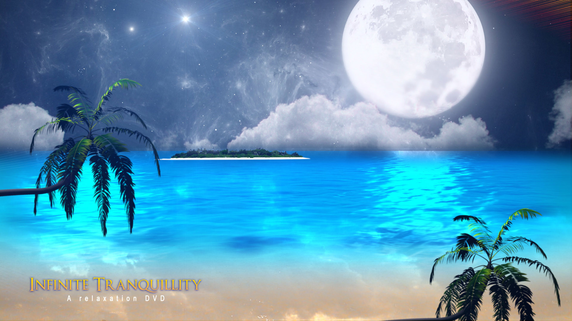 Luna piena, Isola tropicale, Palme, Notte, Mare, 1920x1080, immagine di sfondo