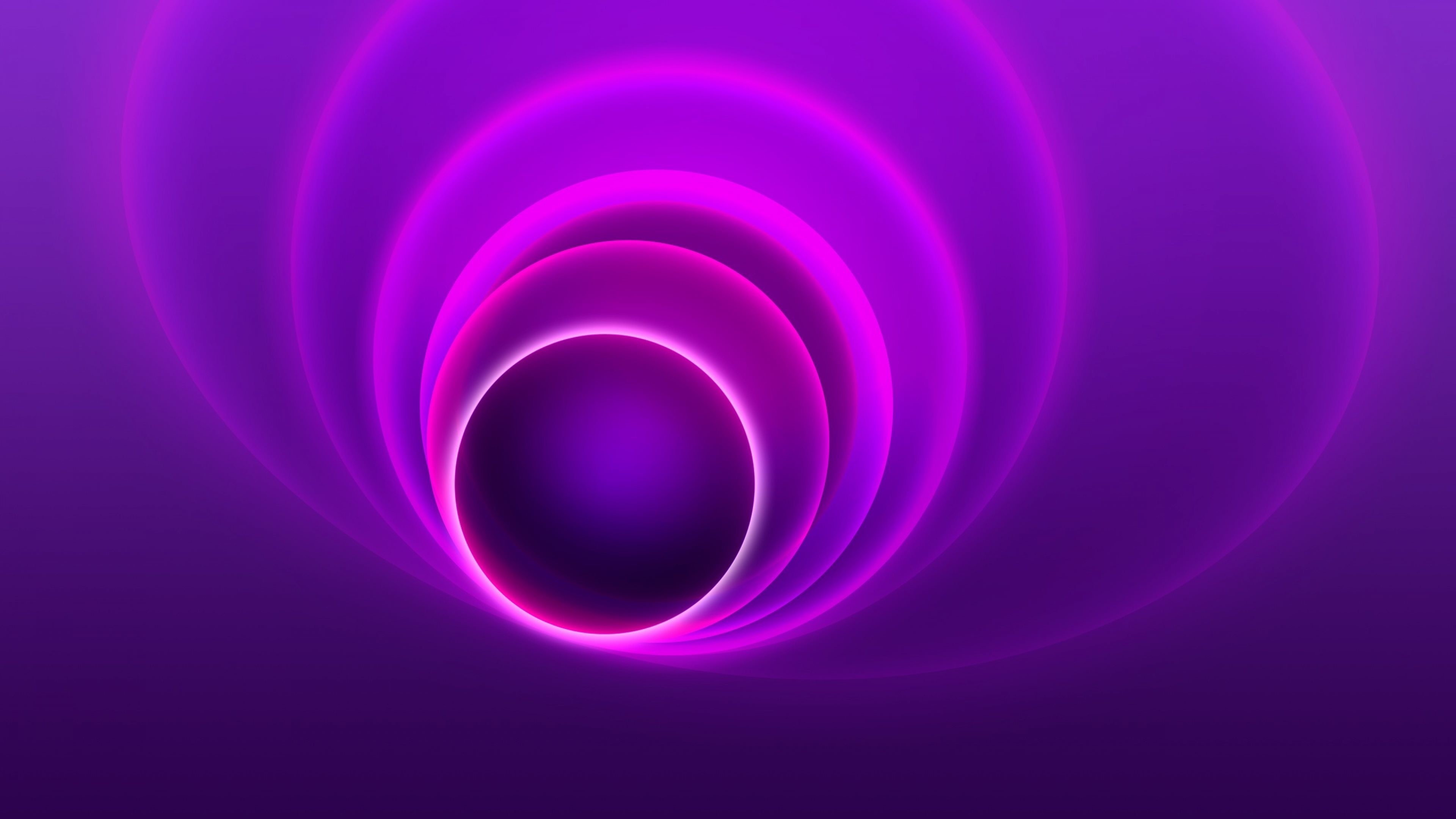 Cerchi concentrici, Neon, Viola, Fucsia, Astratto, 4K, sfondo per PC
