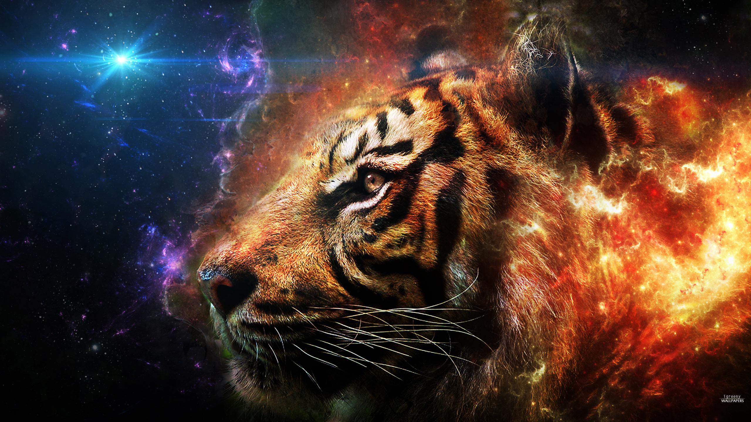 Tigre, Fuoco, Spazio, Arte digitale, 2K, sfondo per portatile