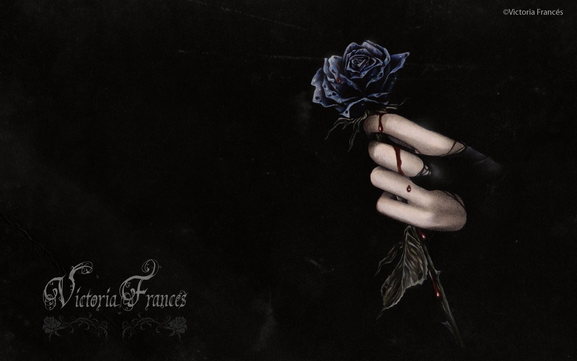 Victoria Francés, Rosa nera, Mano, Sfondo nero, Full HD, wallpaper per portatile
