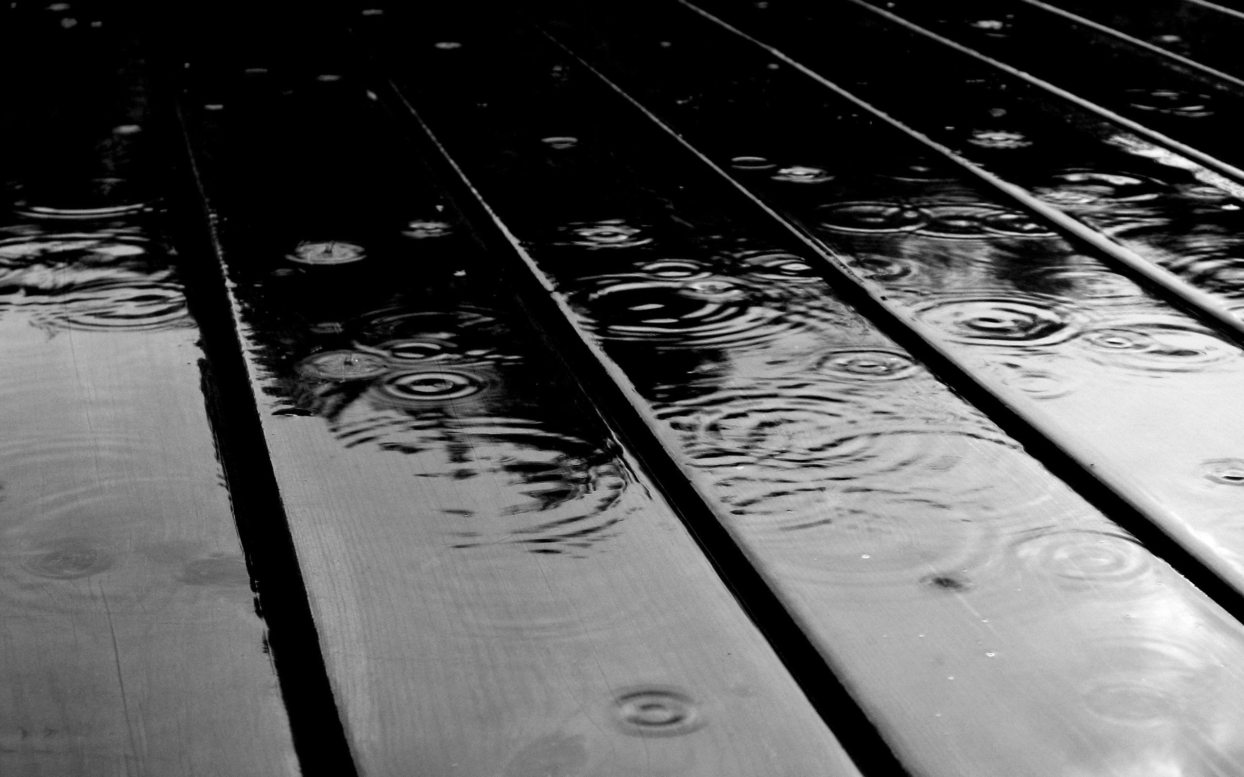 Pioggia, Assi di legno, Gocce, Monocromatico, 2K, sfondo per PC