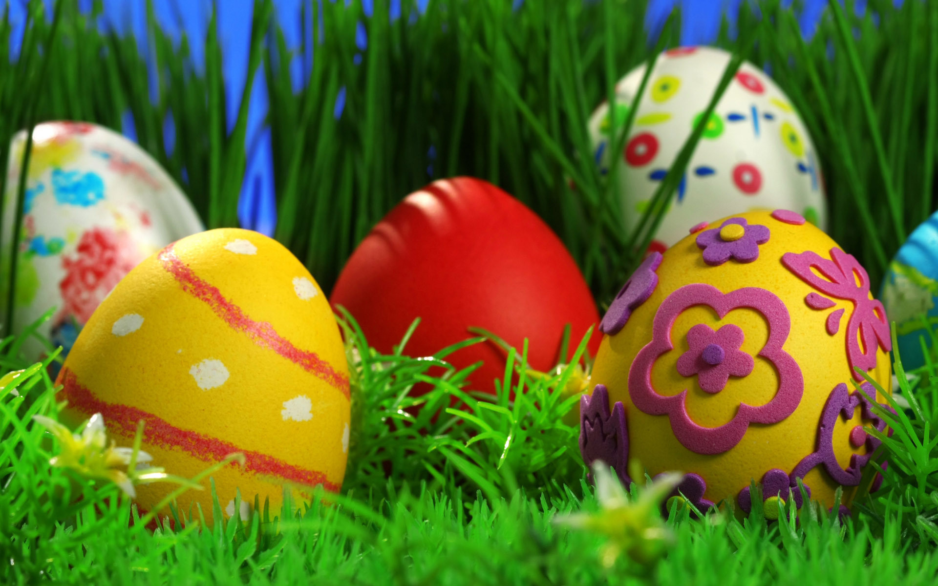 Uova di Pasqua, Uova dipinte, Erba, Rosso, Giallo, Full HD, sfondo Windows 11