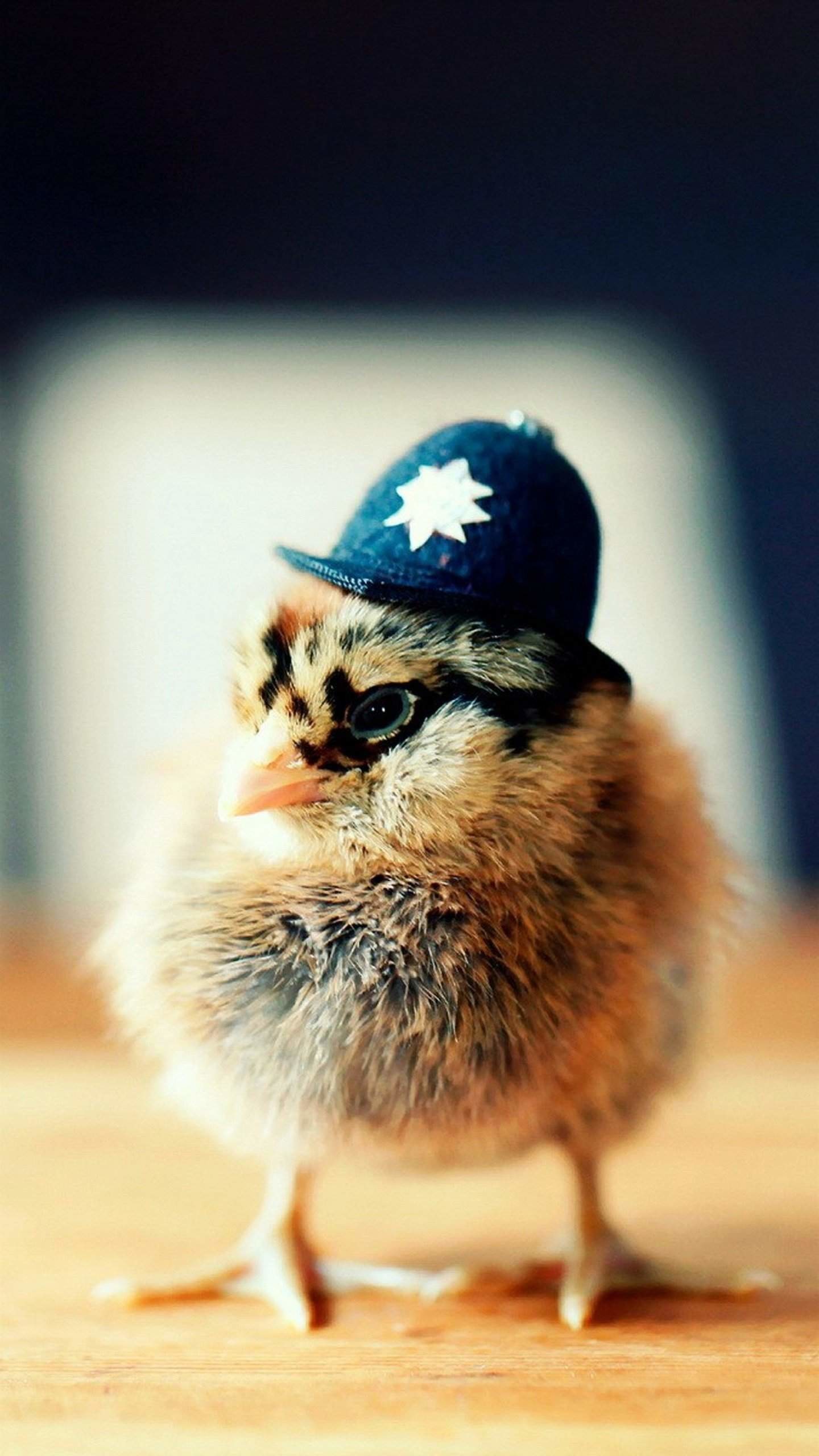 Pulcino, Elmetto da poliziotto, Animali, Simpatico, wallpaper LG G4