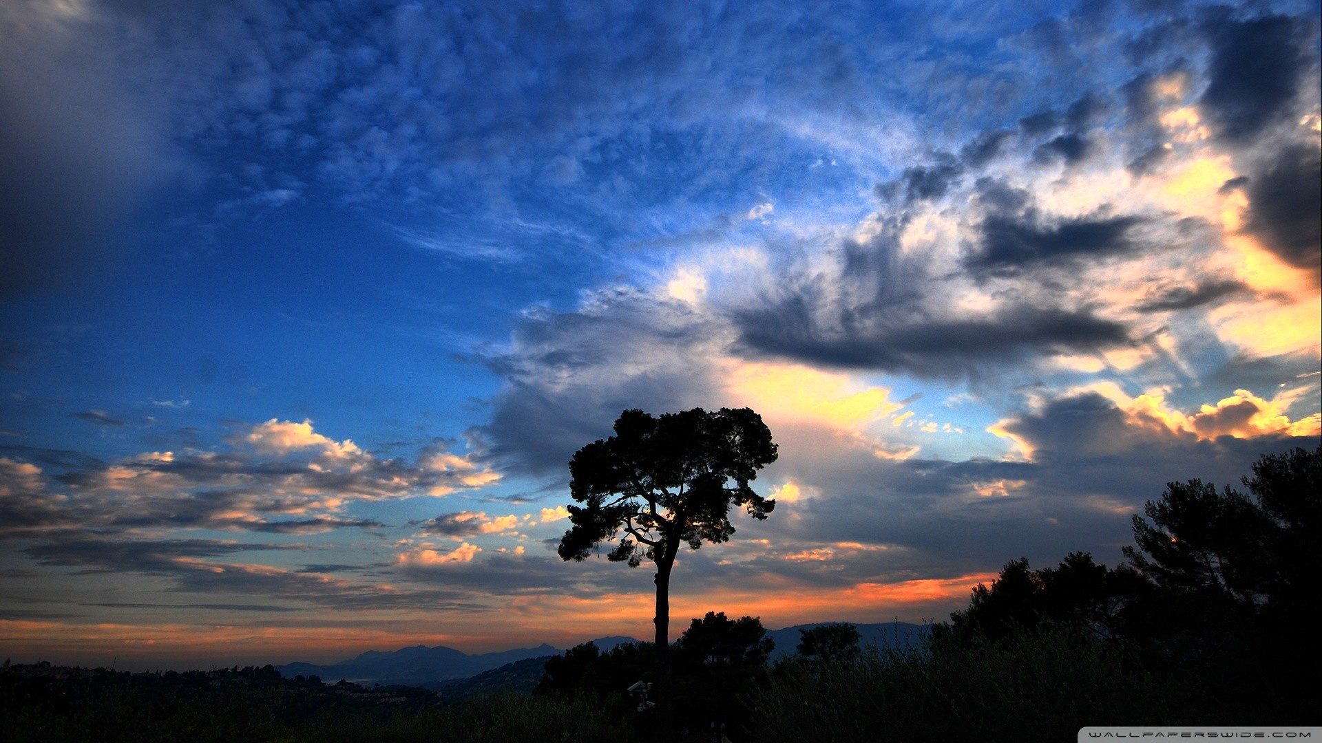 Albero solitario, Silhouette, Nuvole, Tramonto, sfondo per il tuo desktop
