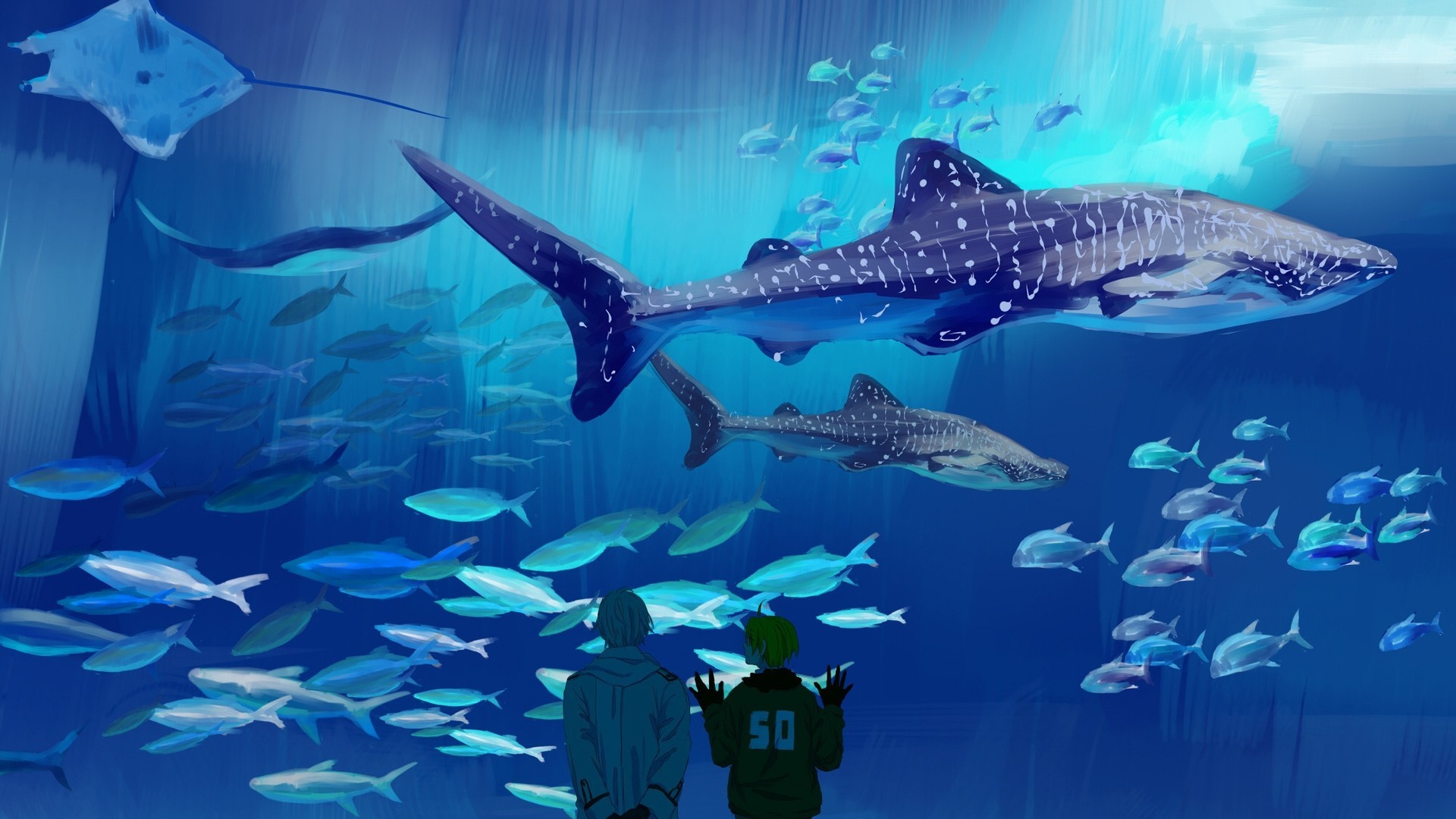 Squalo balena, Acquario pubblico, Banco di pesci, Visitatori, Blu, sfondo Full HD per PC