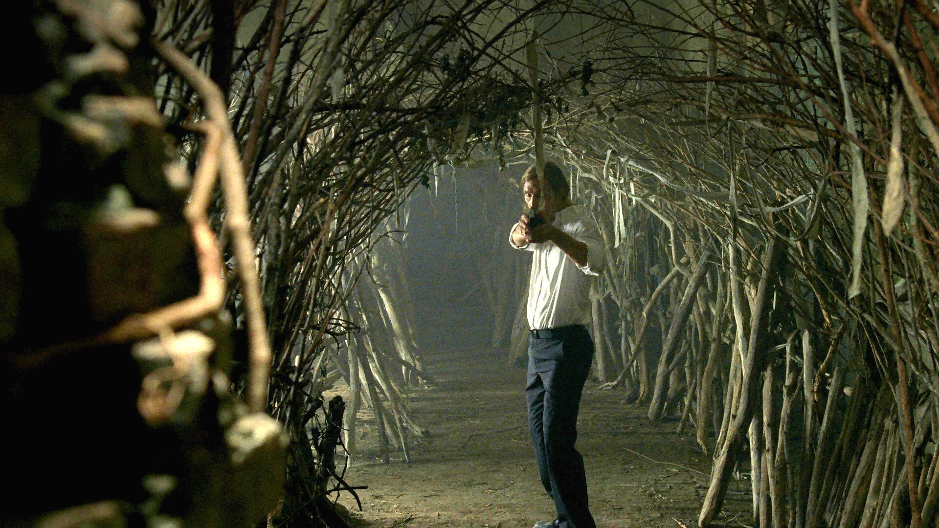 True Detective, Carcosa, Tunnel di rami, Atmosfera cupa, 1920x1080, wallpaper desktop