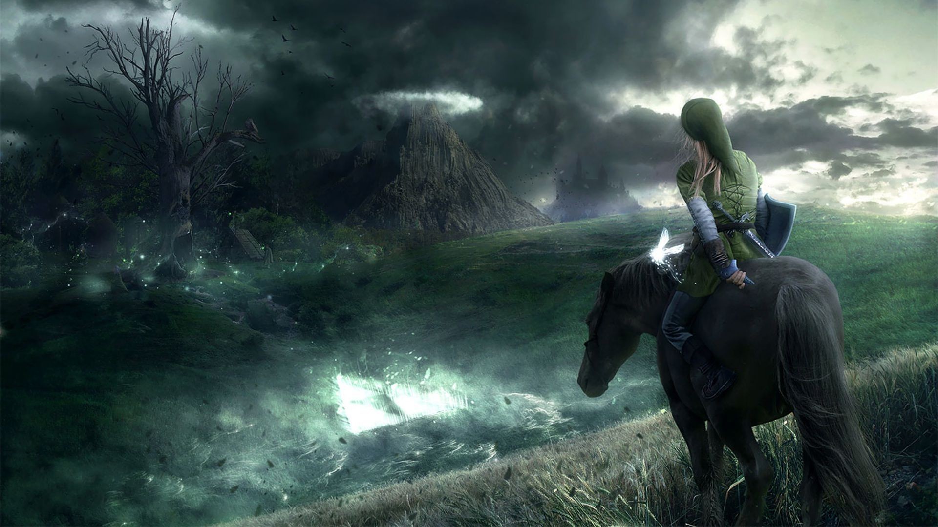 Link, Epona, Twilight Princess, Tempesta, Prateria, Full HD 1080p, sfondo desktop