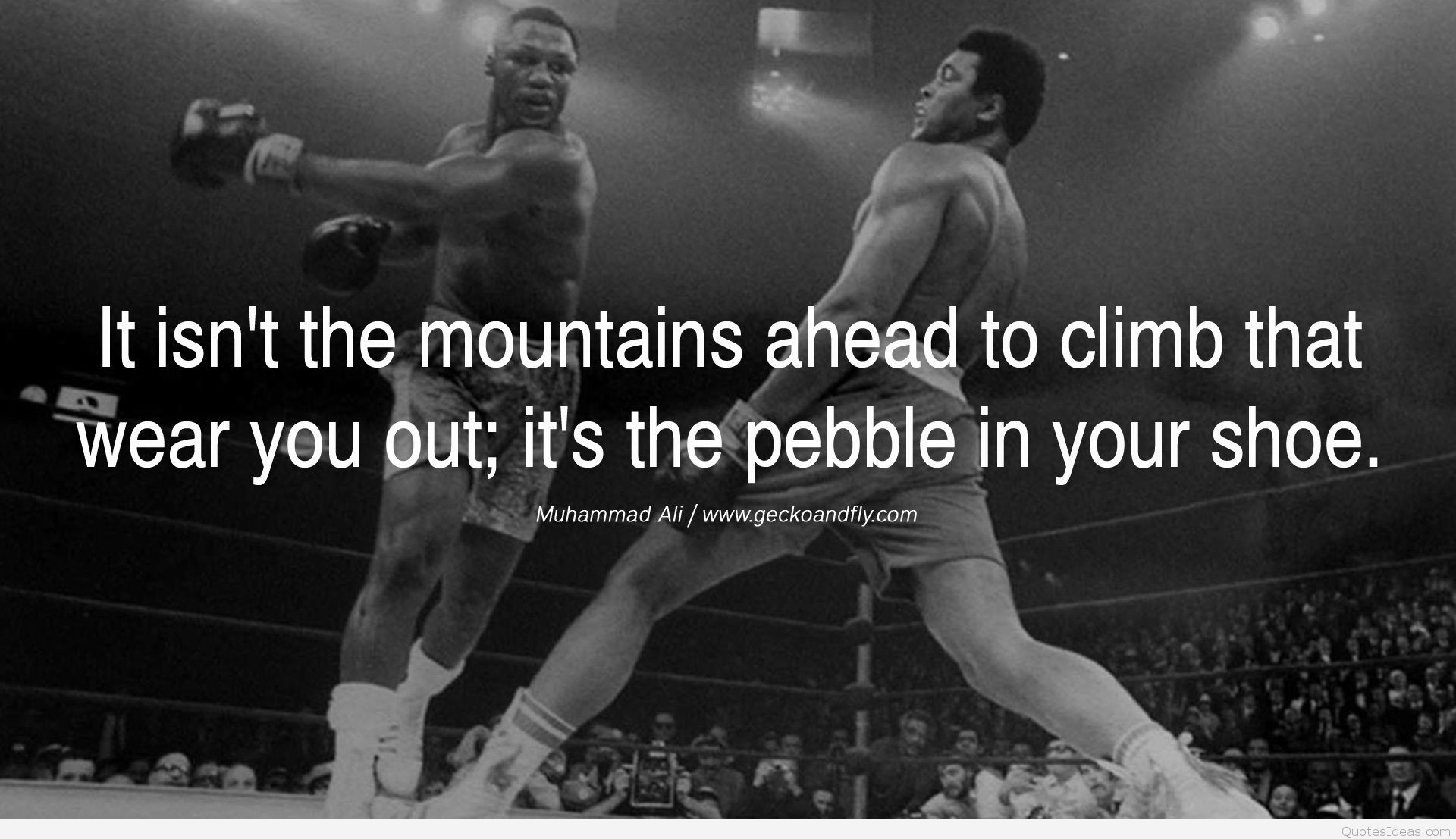 Muhammad Ali, Joe Frazier, Citazione, Ring, Full HD, sfondo per PC