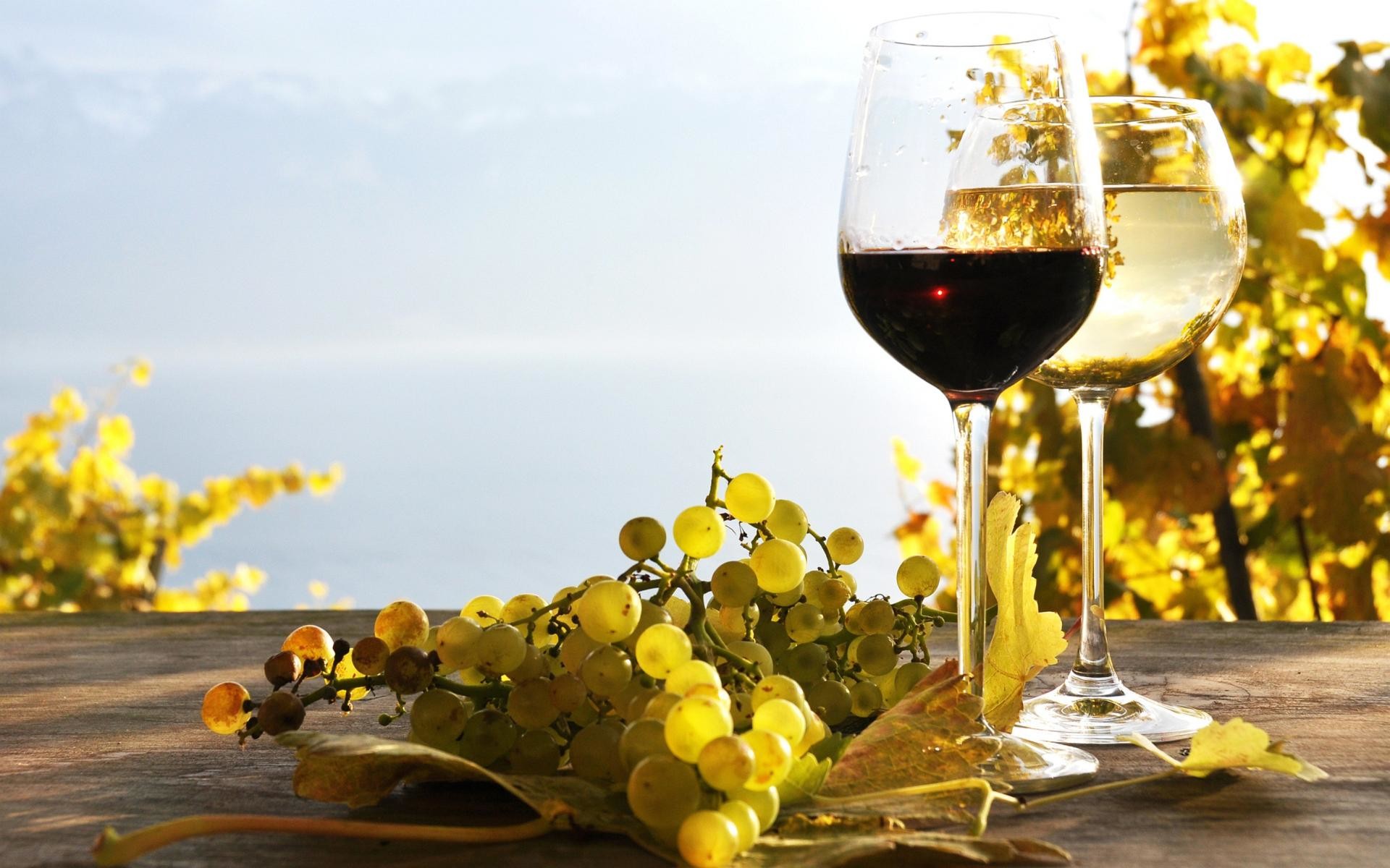 Vino rosso, Vino bianco, Calici, Uva bianca, Mare, Autunno, 1920x1200, immagine di sfondo