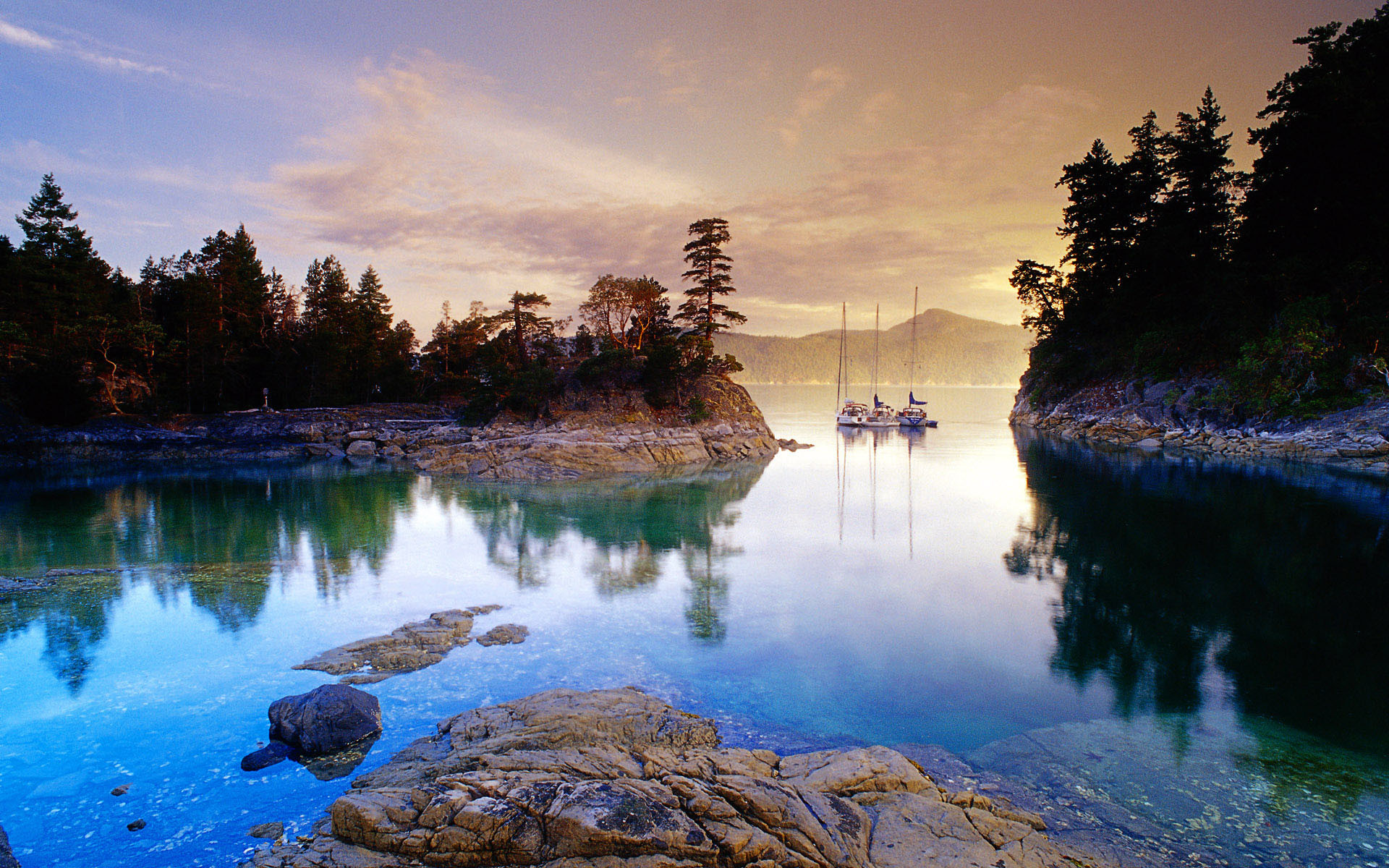 Baia, Barche a vela, Alba, Pini, wallpaper Windows